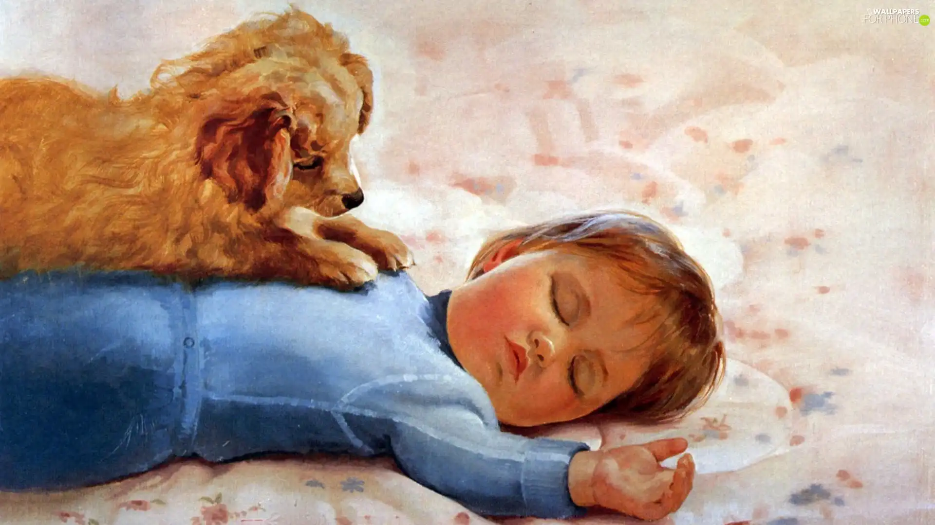 dog, Sleeping, Kid