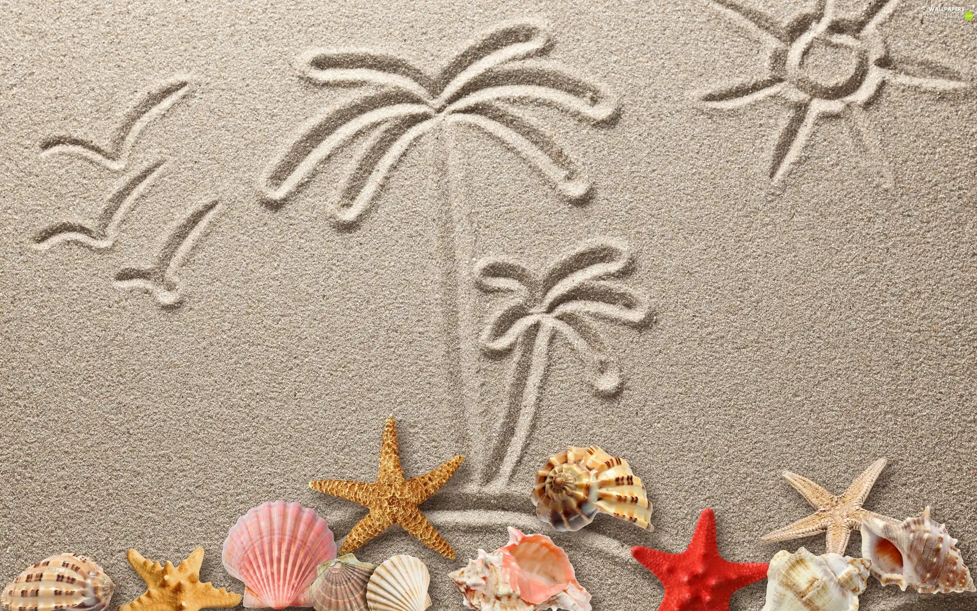 Beaches, Drawing