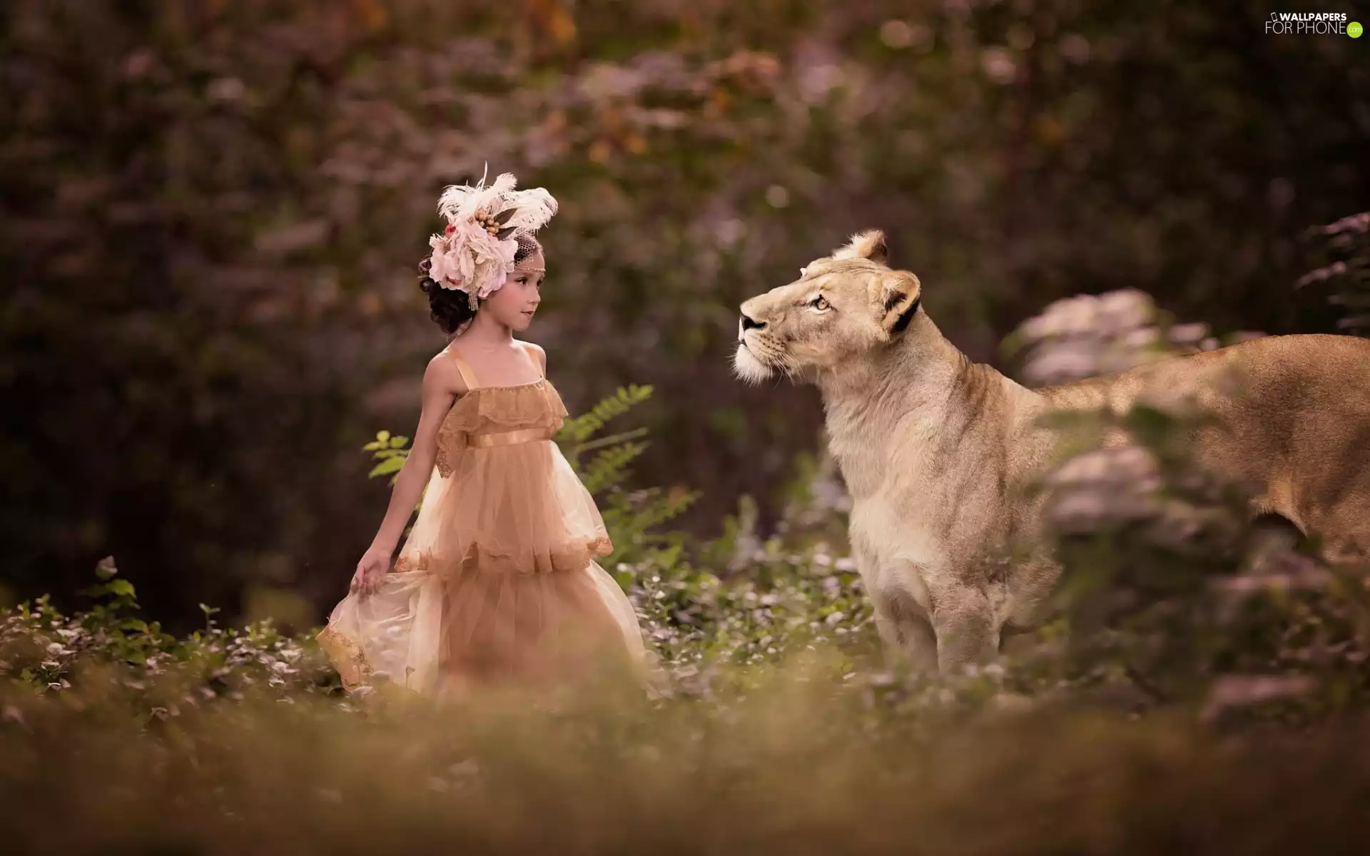 girl, wreath, Lioness, dress