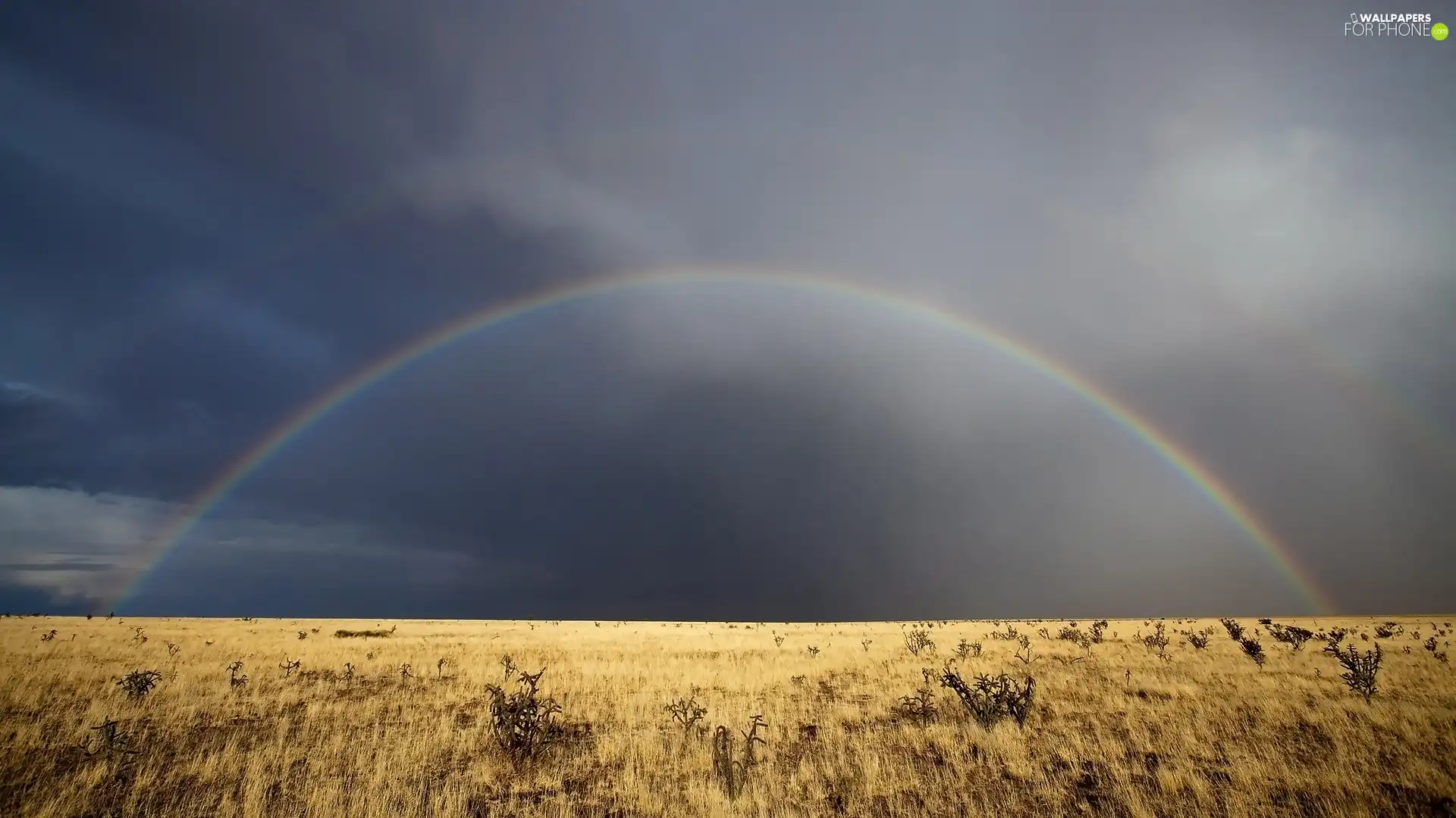 wilderness, Great Rainbows, Dried