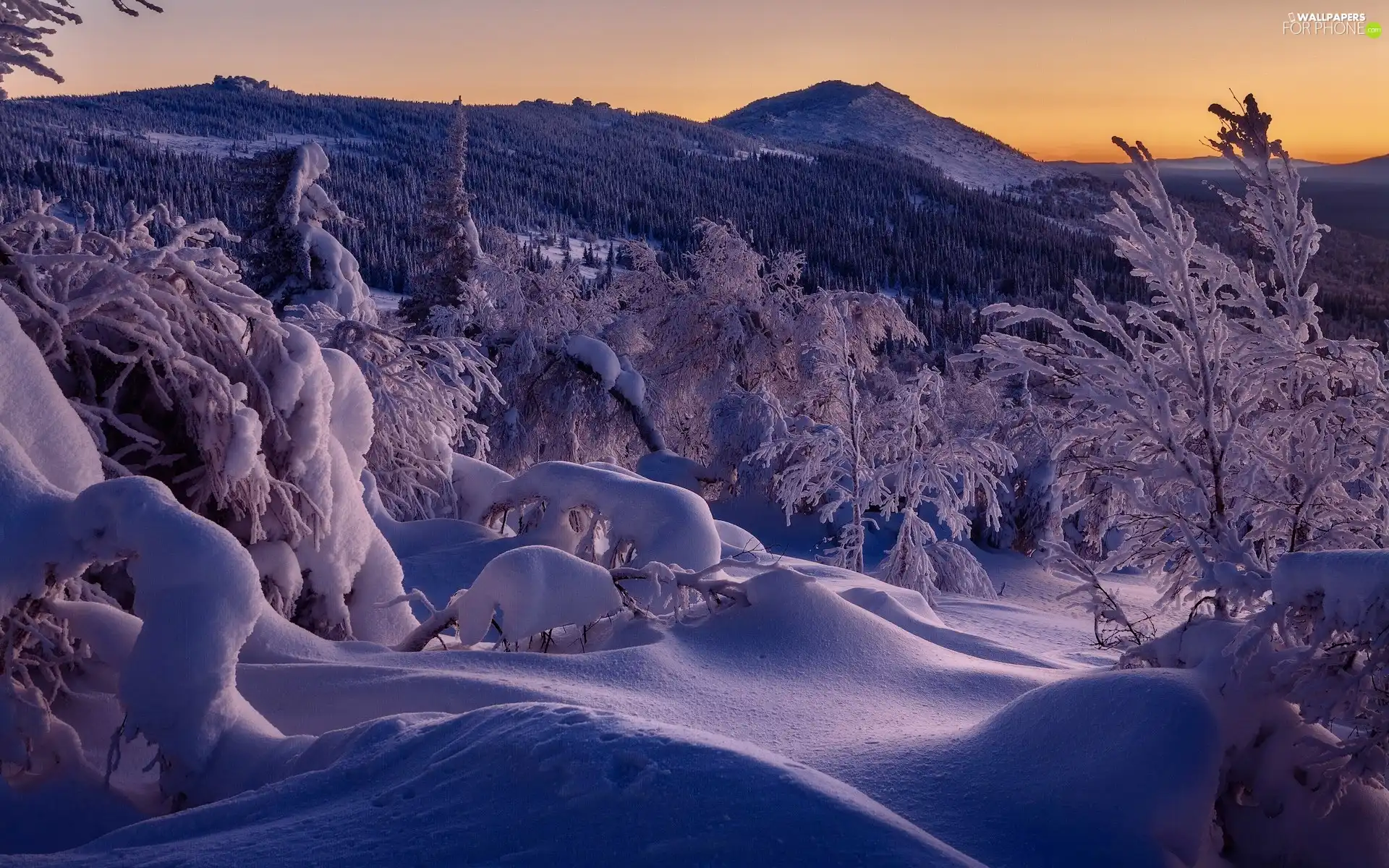 trees, winter, Snowy, drifts, viewes, Mountains