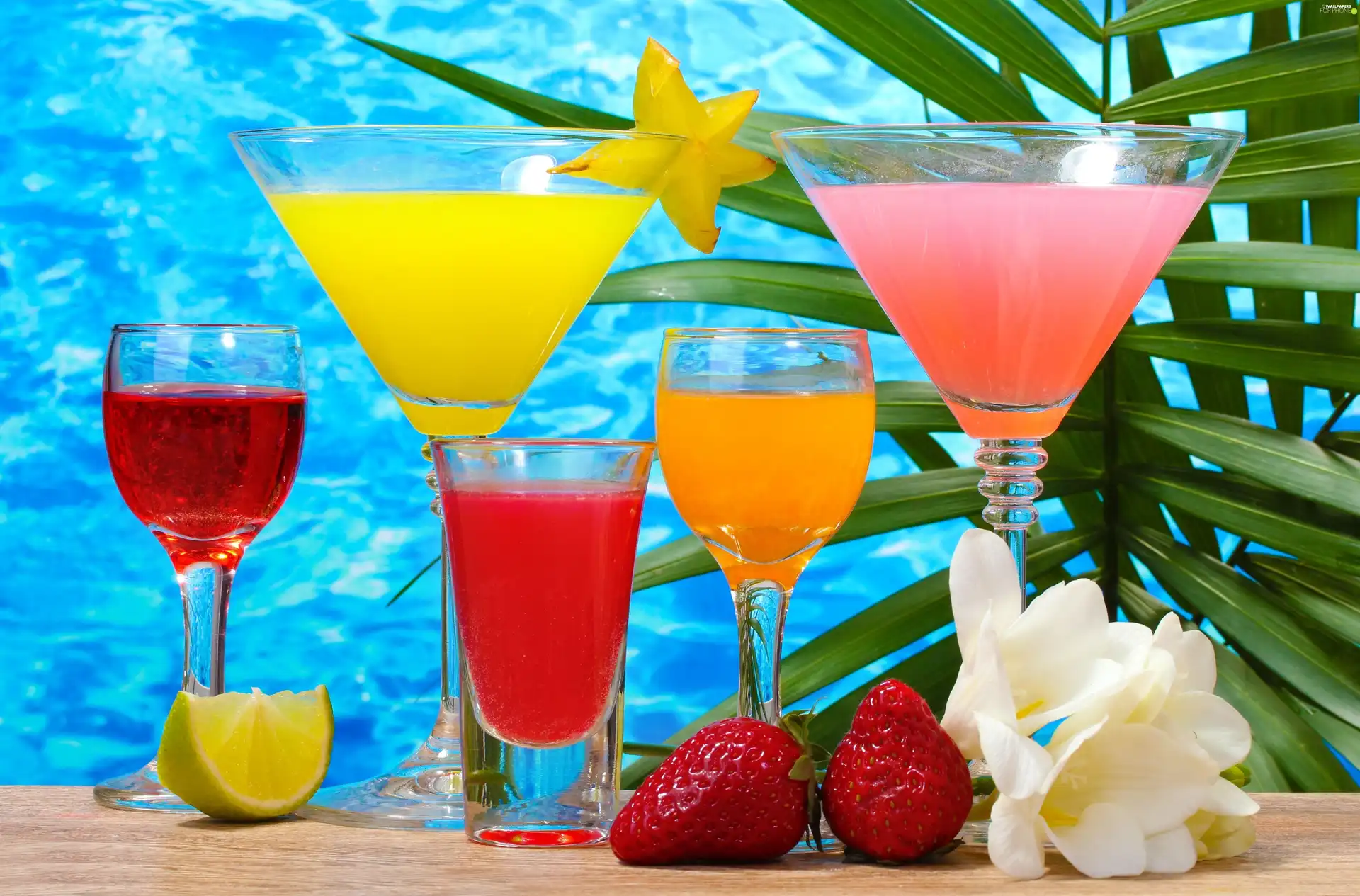 exotic, drinks