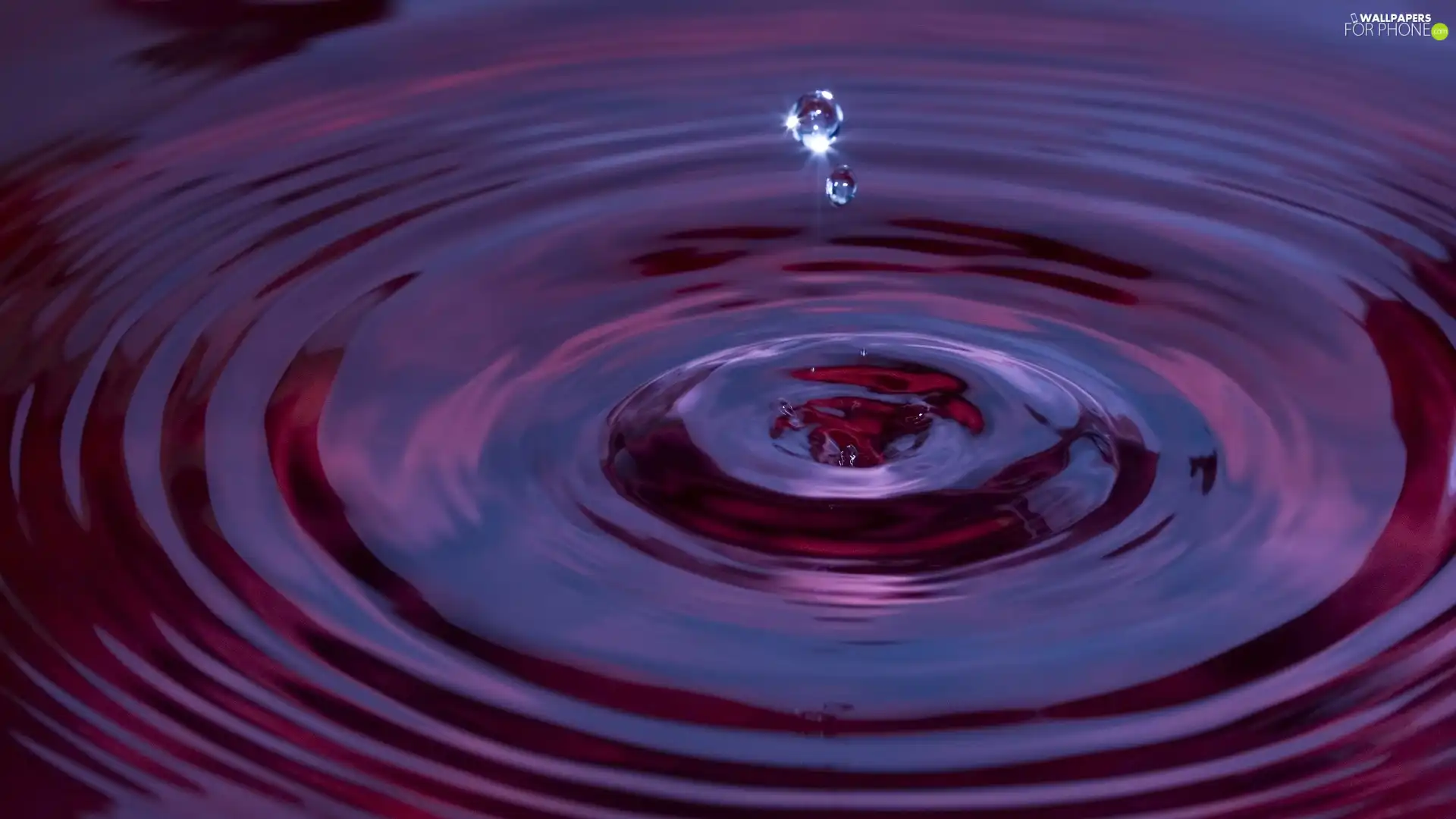 liquid, drop