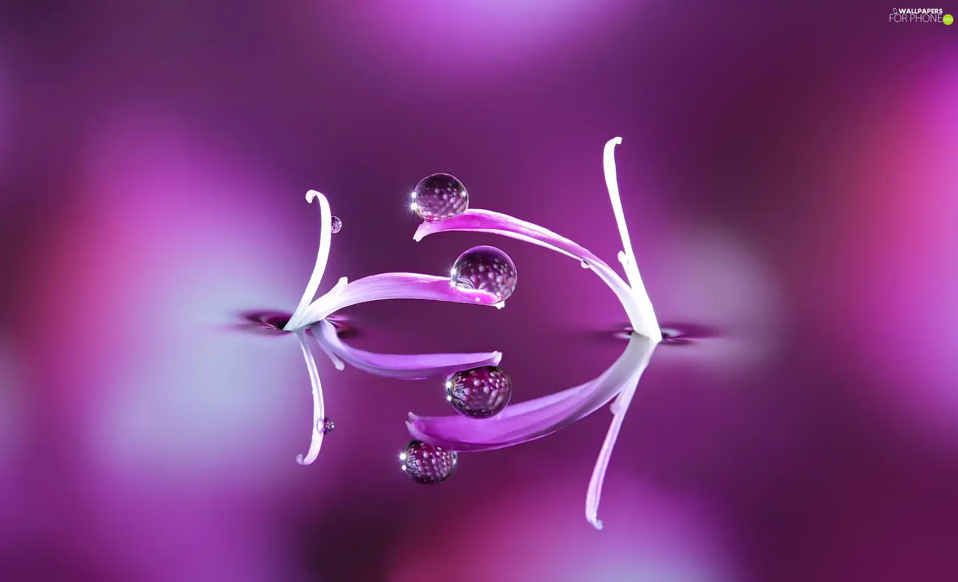 Close, drops