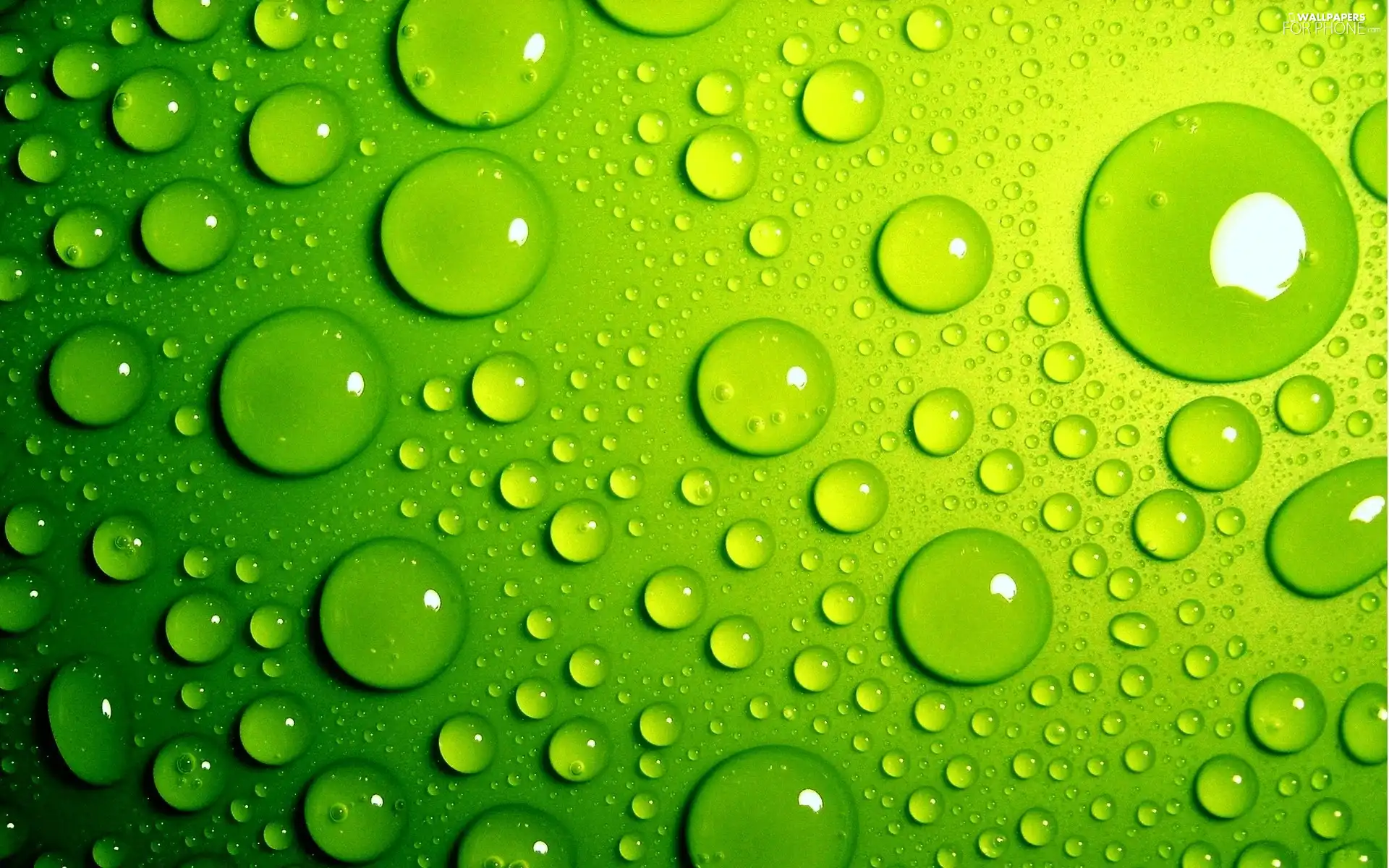 drops, Green, color