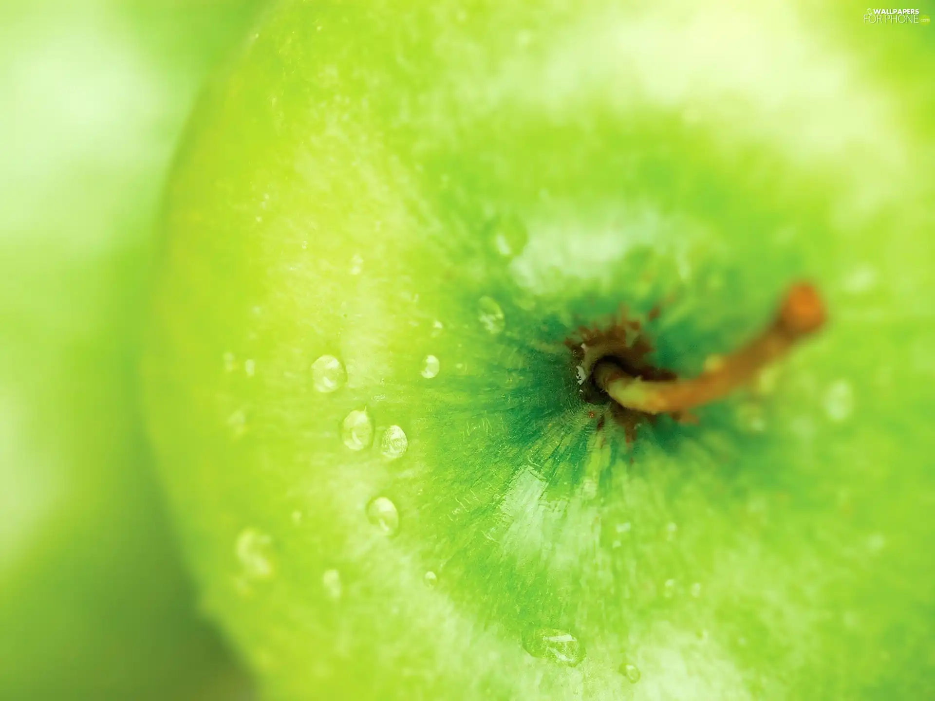 green ones, tail, drops, Apple