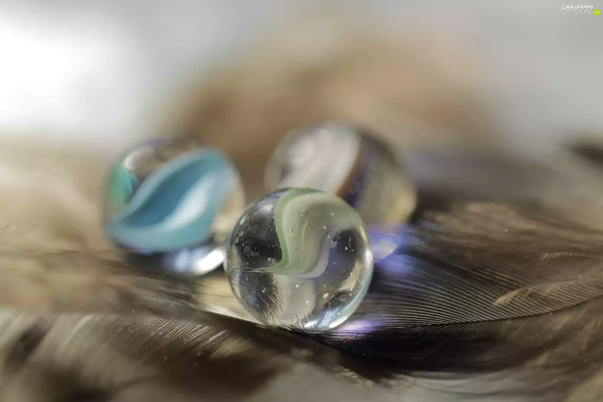 M&Ms balls, Dunie, Close, glass