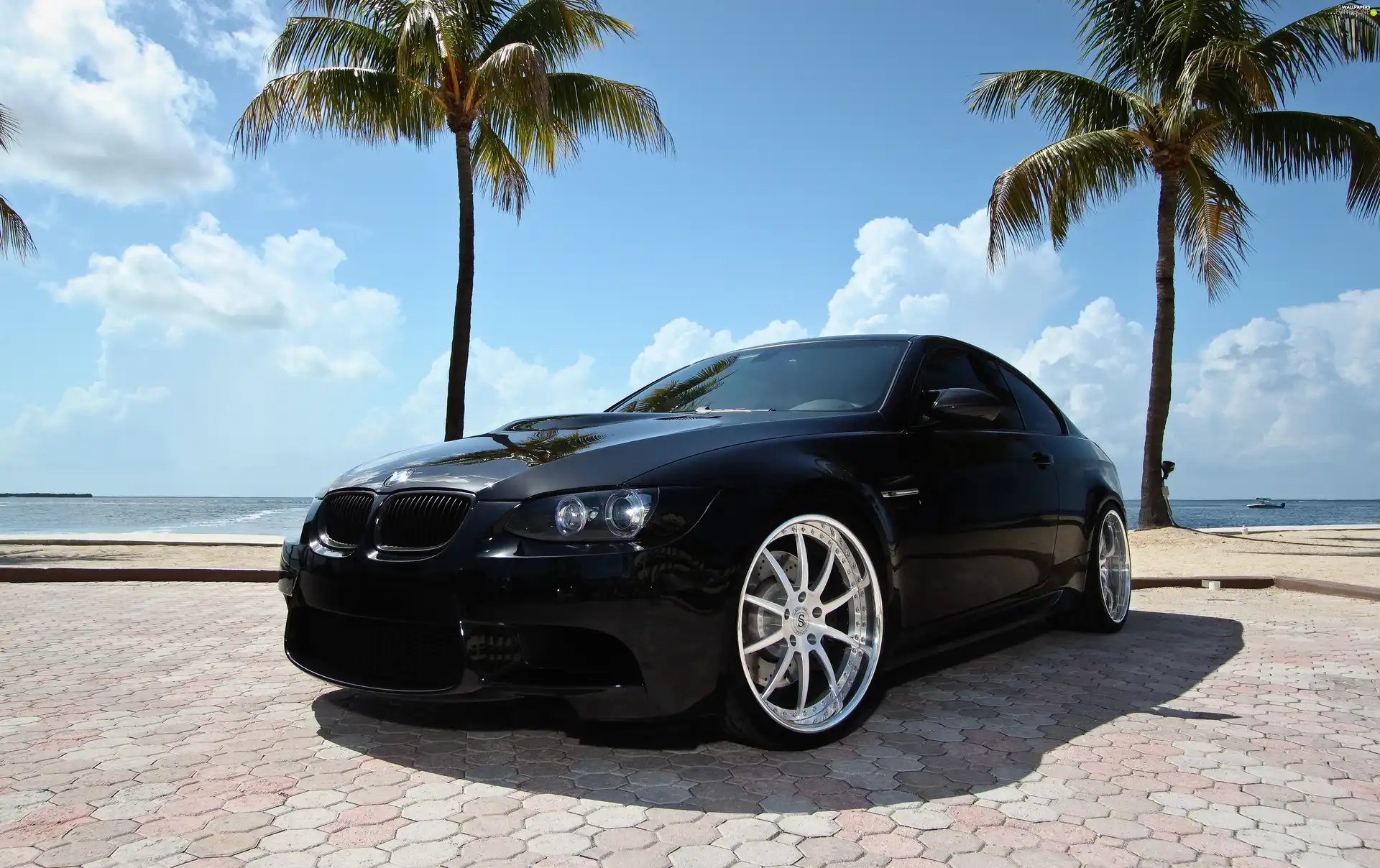 Black, BMW E90