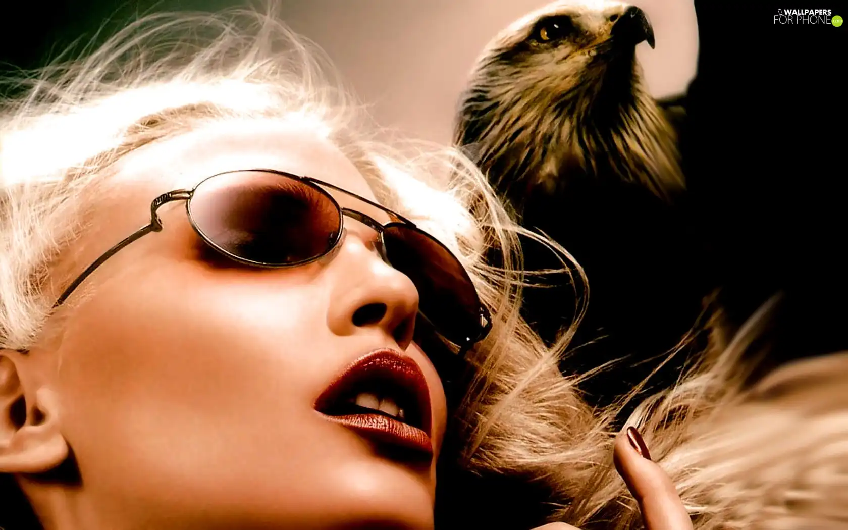 Women, Glasses, eagle, face