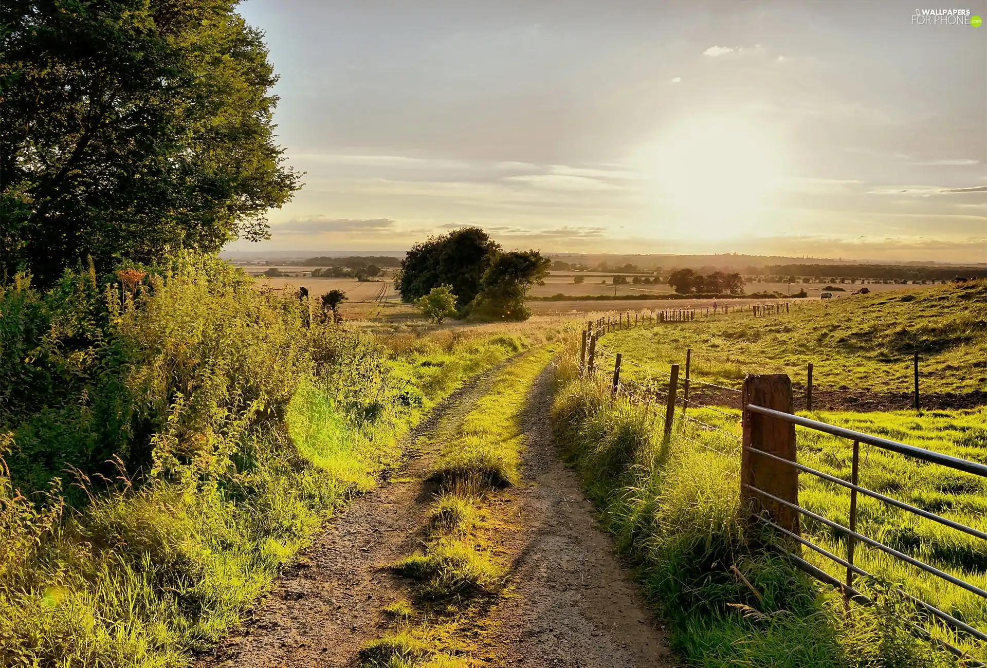 east, sun, field, fence, Way