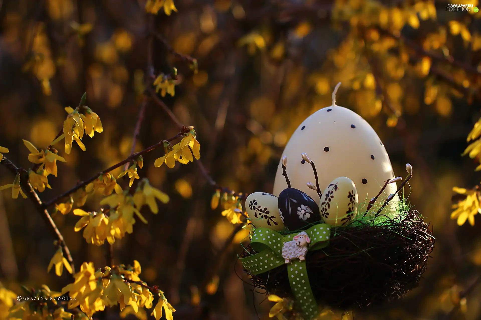 Easter, christmas, headdress, Forsythia, egg