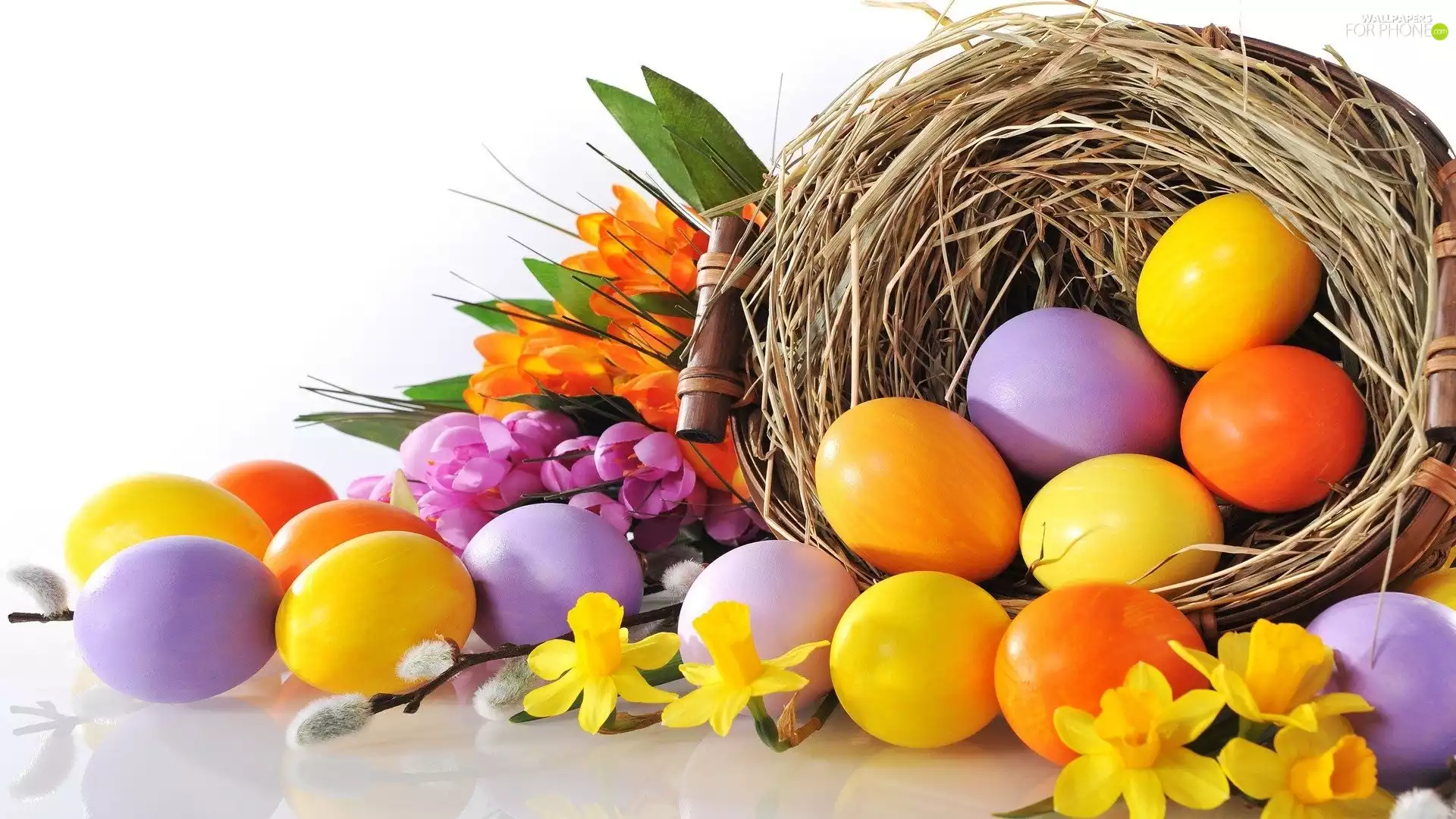 composition, eggs, Flowers, Easter