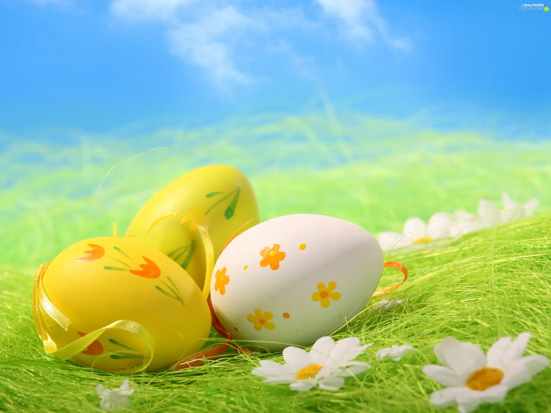 grass, eggs, easter, daisy