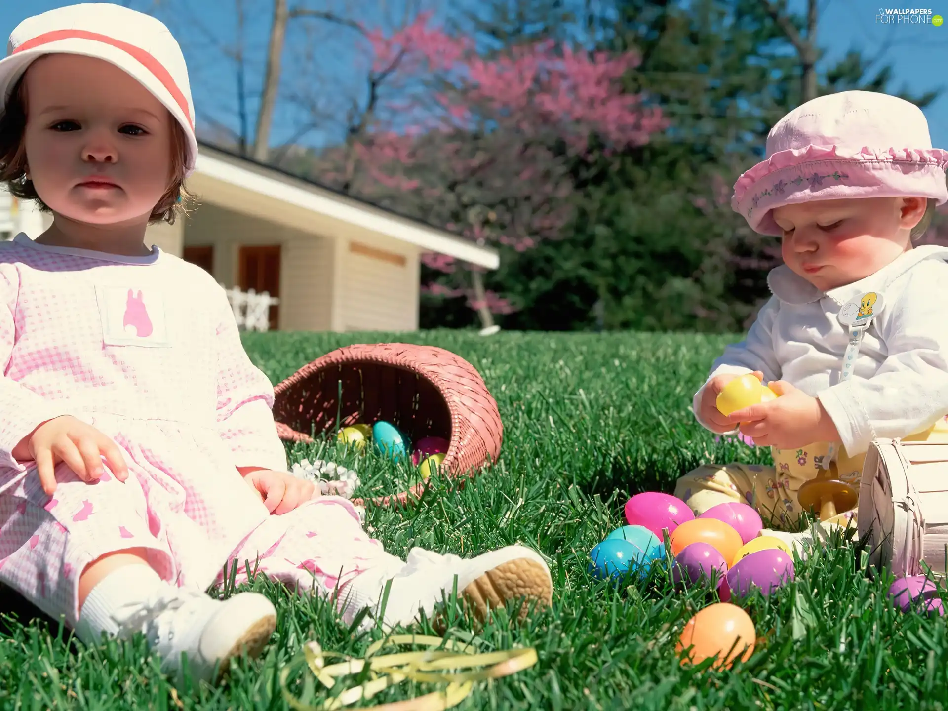 Easter, Kids, grass