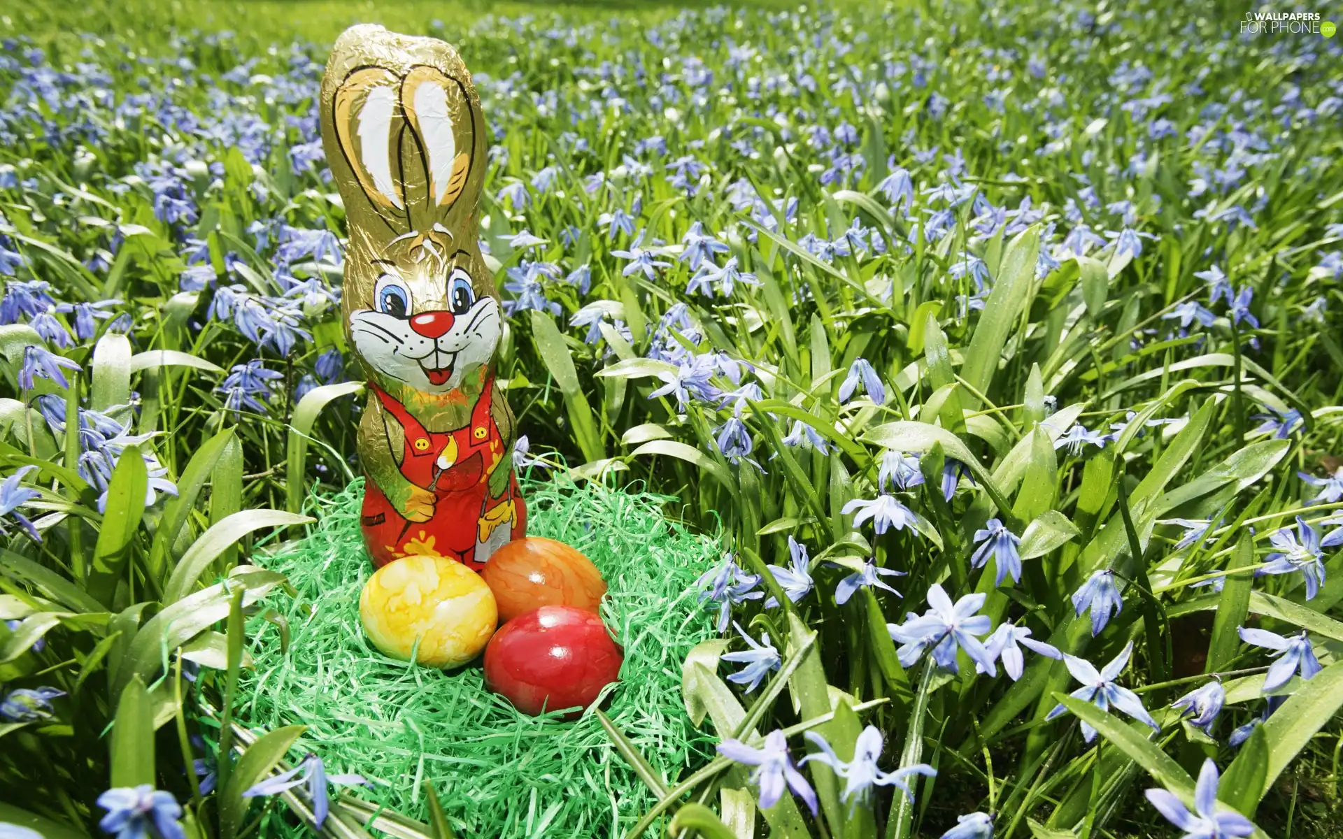 Wild Rabbit, Meadow, Easter, eggs