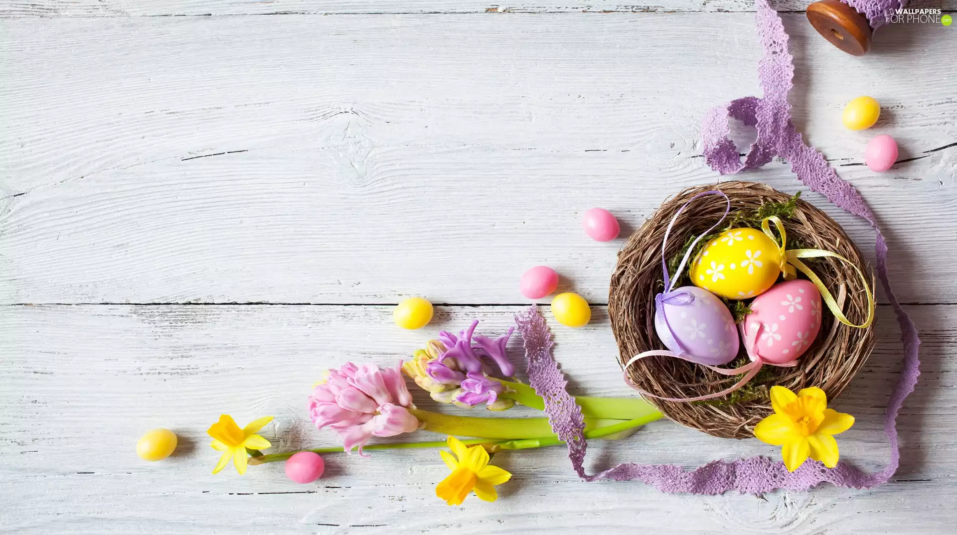Hyacinths, Daffodils, boarding, nest, ribbon, Flowers, Easter, eggs