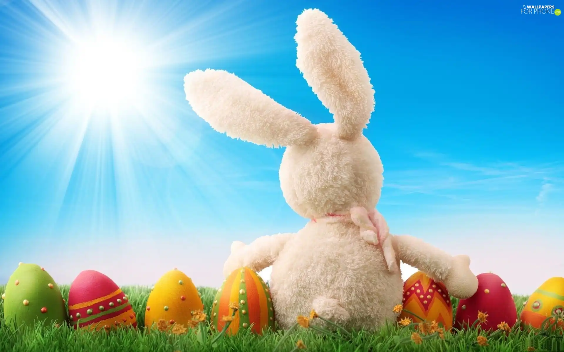 eggs, easter, Green, grass, rabbit