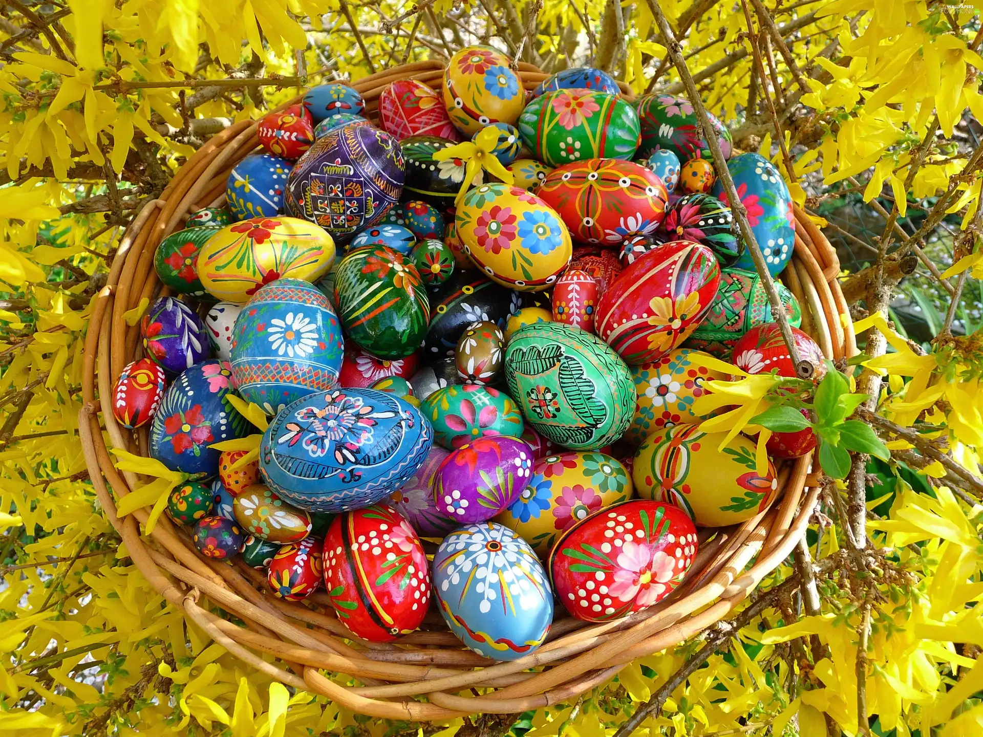 eggs, forsythia, basket, color, Easter