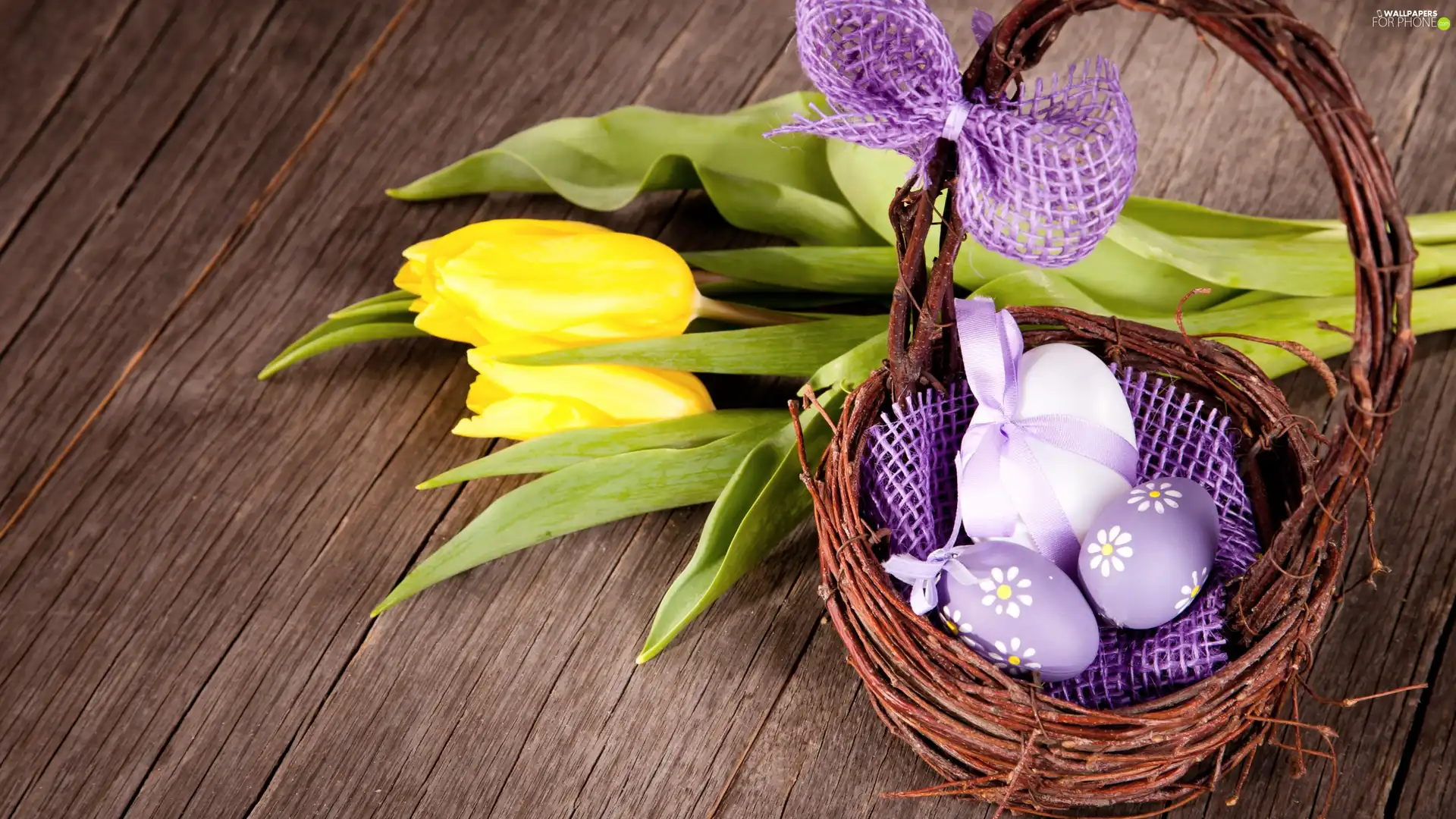 basket, composition, eggs, Tulips, bow, Easter