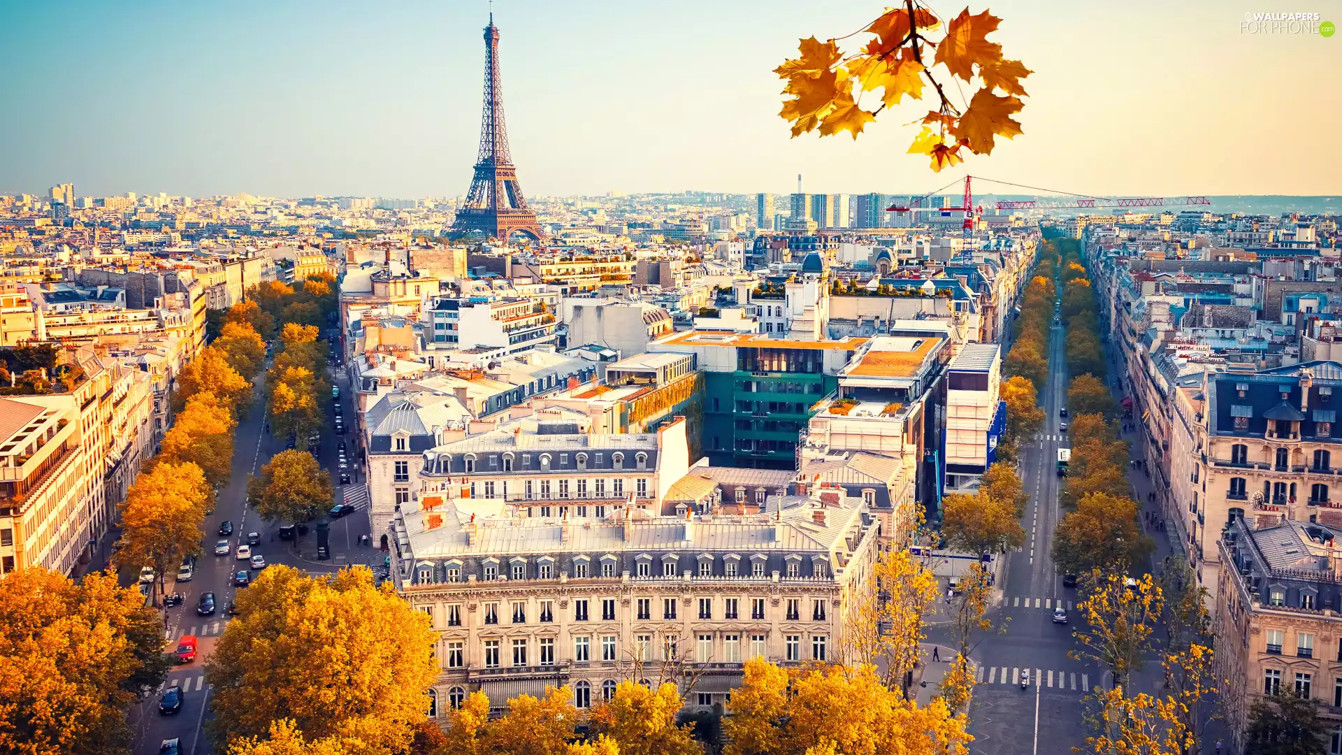 France, Eiffla Tower, autumn, Paris