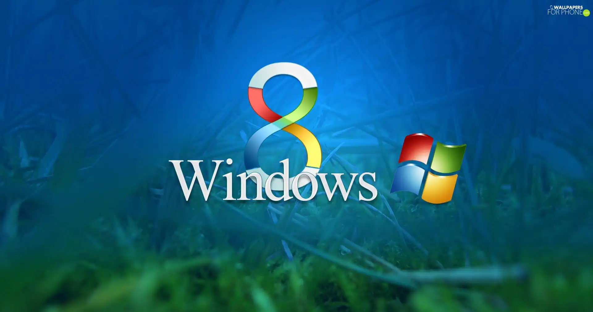 windows, Eight