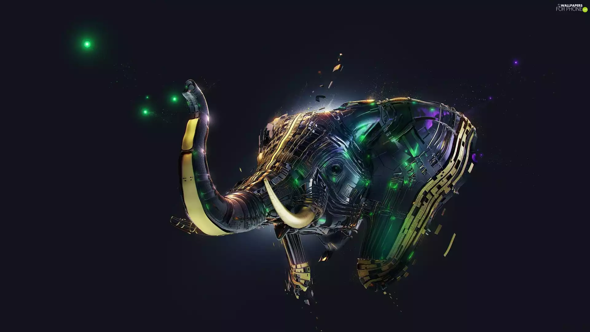 Elephant, 3D Graphics