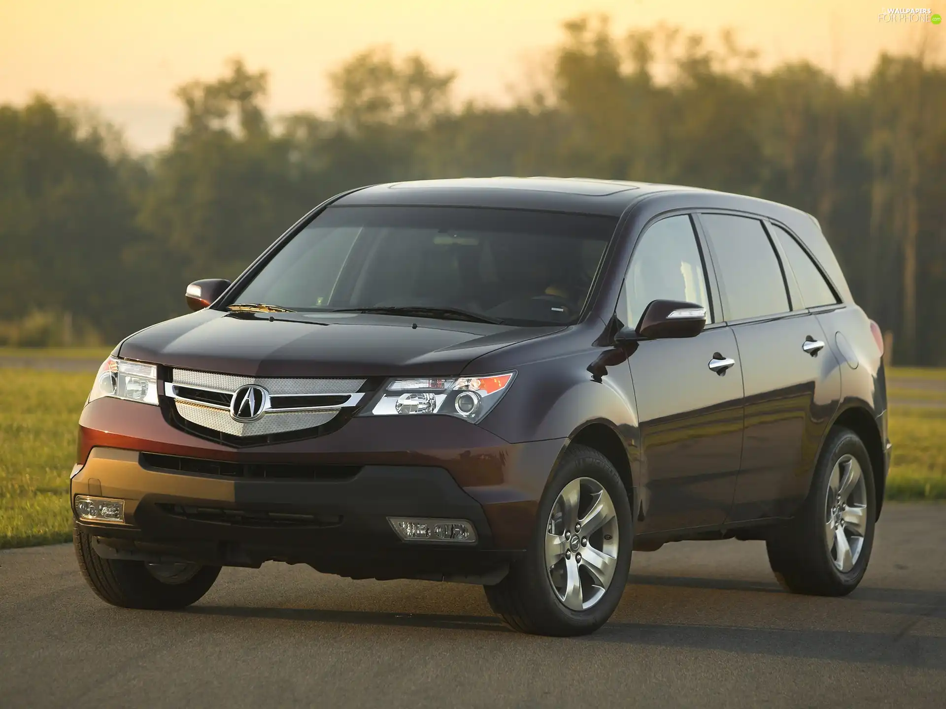 spotlight, Acura MDX, emblem