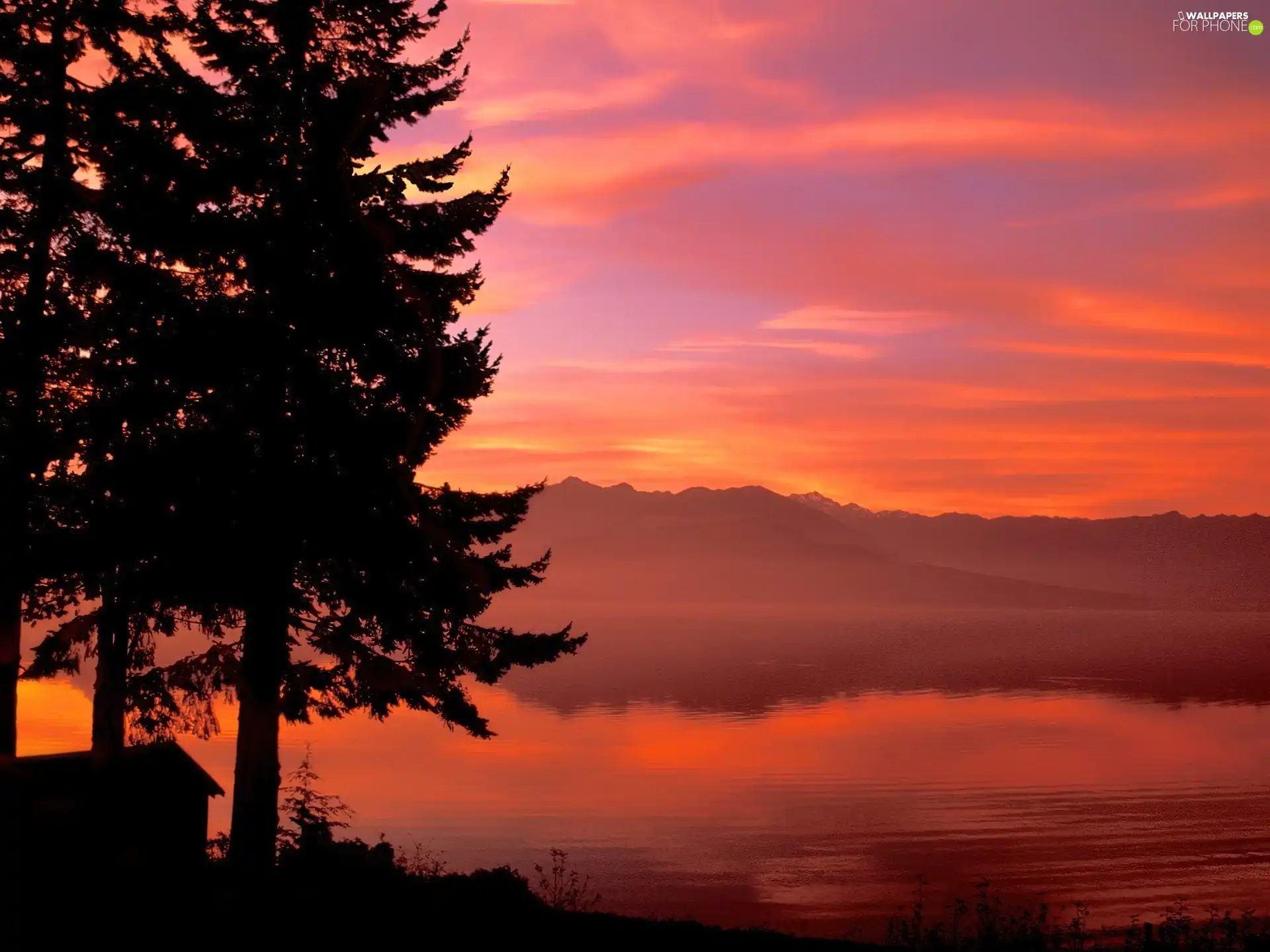 lake, viewes, evening, trees