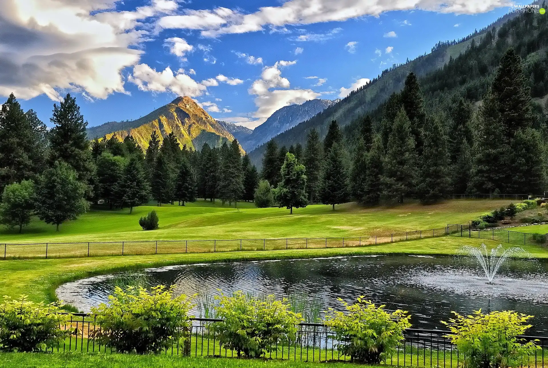 Mountains, trees, eye, water, clouds, viewes