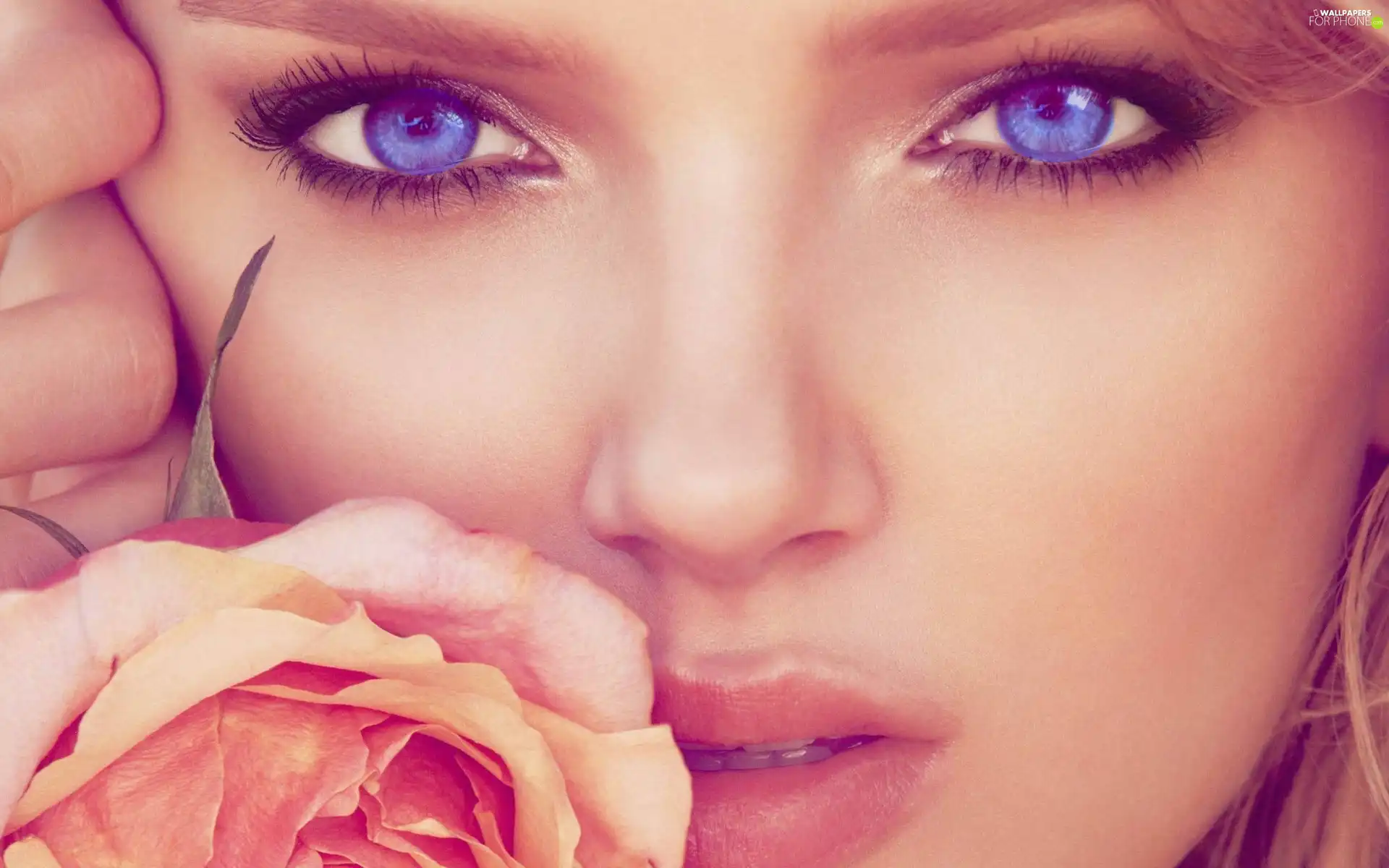 Women, Blue, Eyes, rose