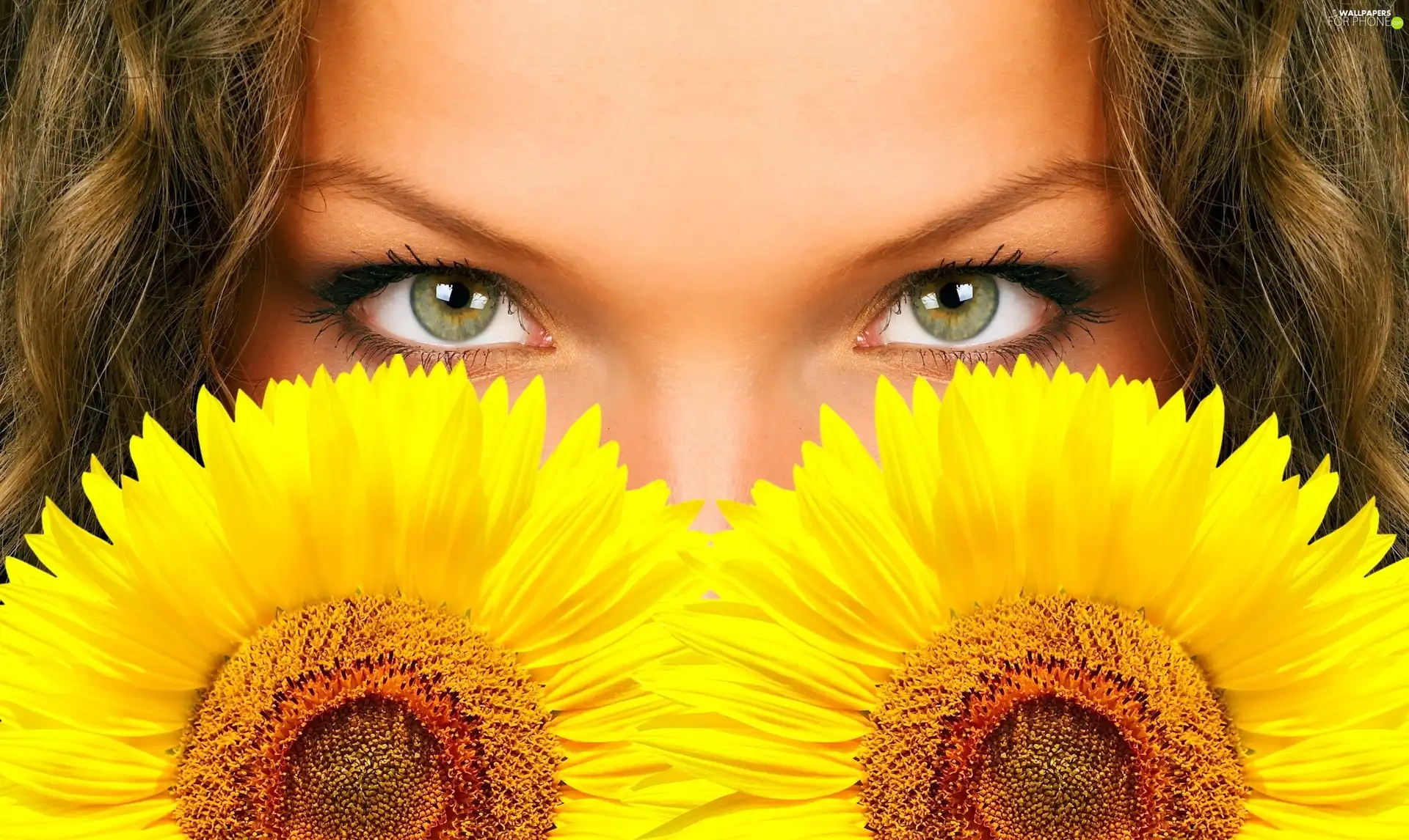 Eyes, face, Yellow, Flowers, Two cars, Girls