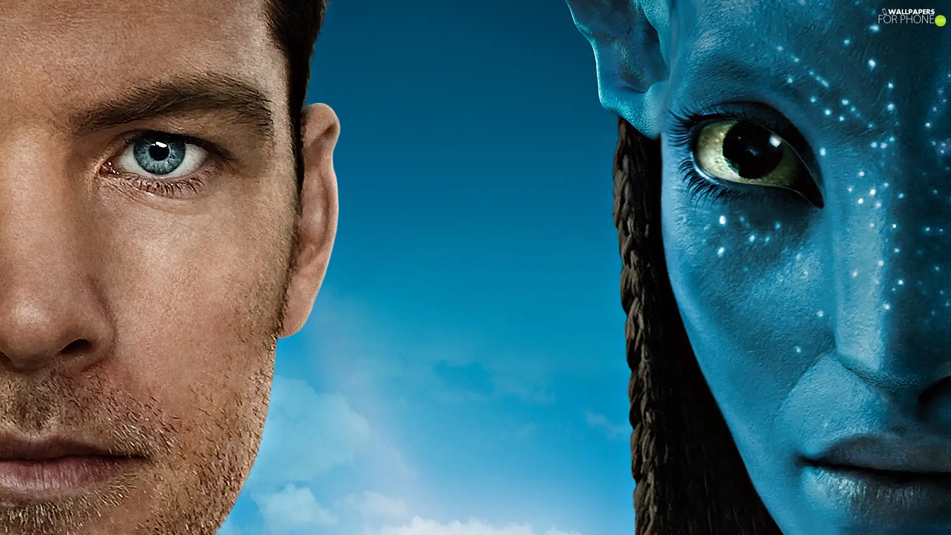 Avatar, faces
