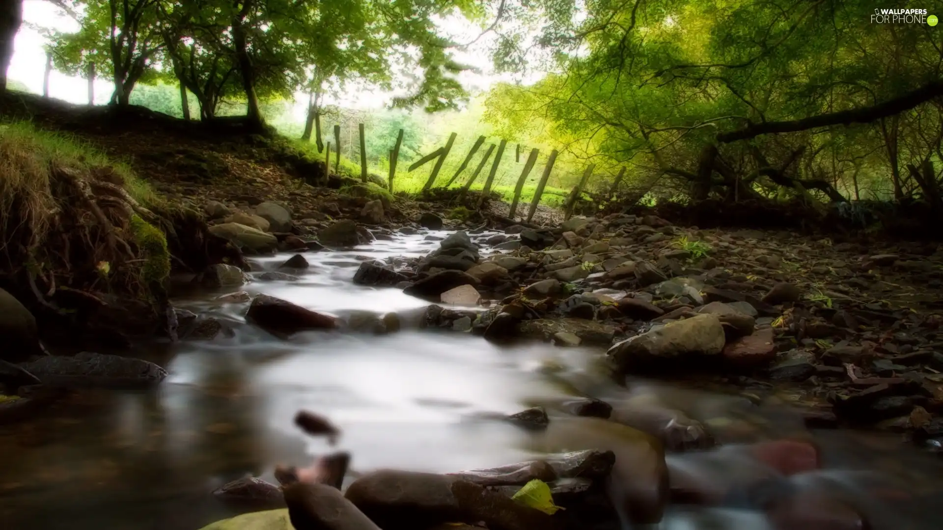 River, viewes, Fance, trees