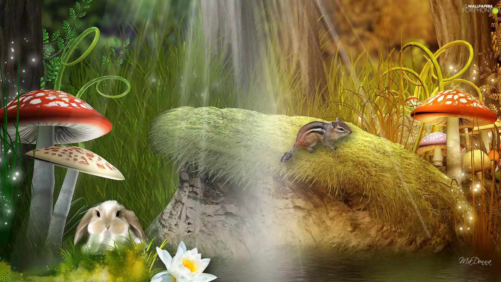 mushrooms, fantasy, For Children, Rabbit