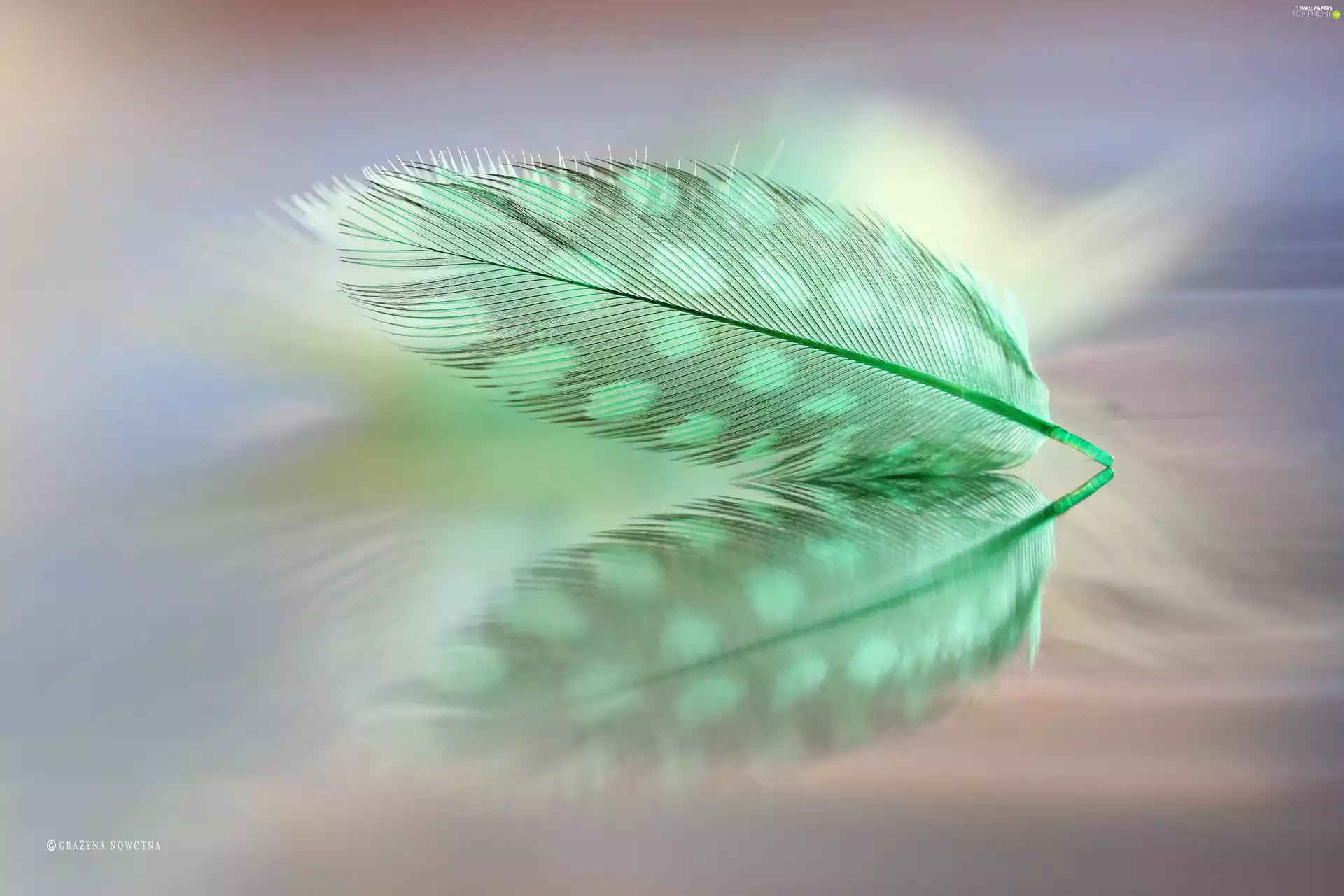 Close, green ones, feather