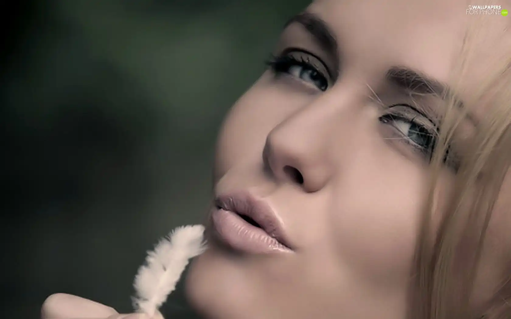 feather, Women, face