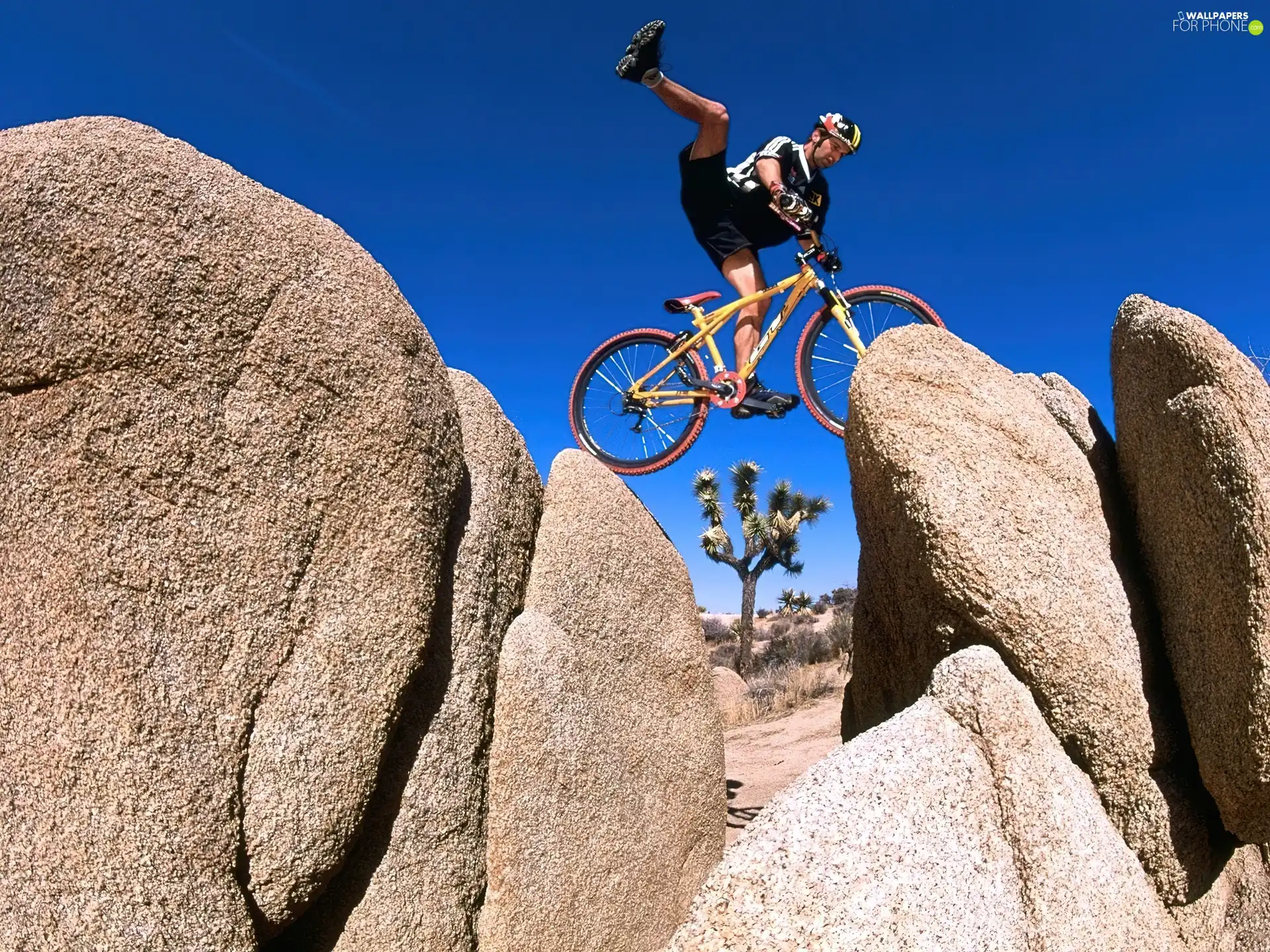 feats, Biking, Mountains, extreme, a man