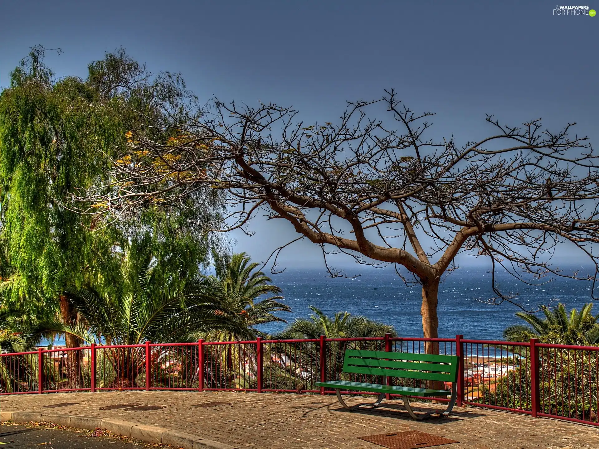 fence, Bench, viewes, sea, trees