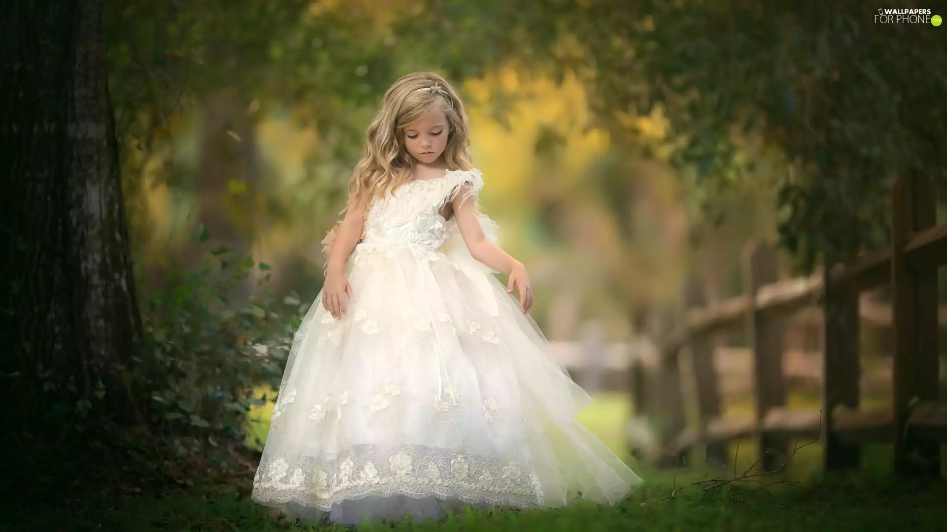 grass, fence, dress, trees, girl