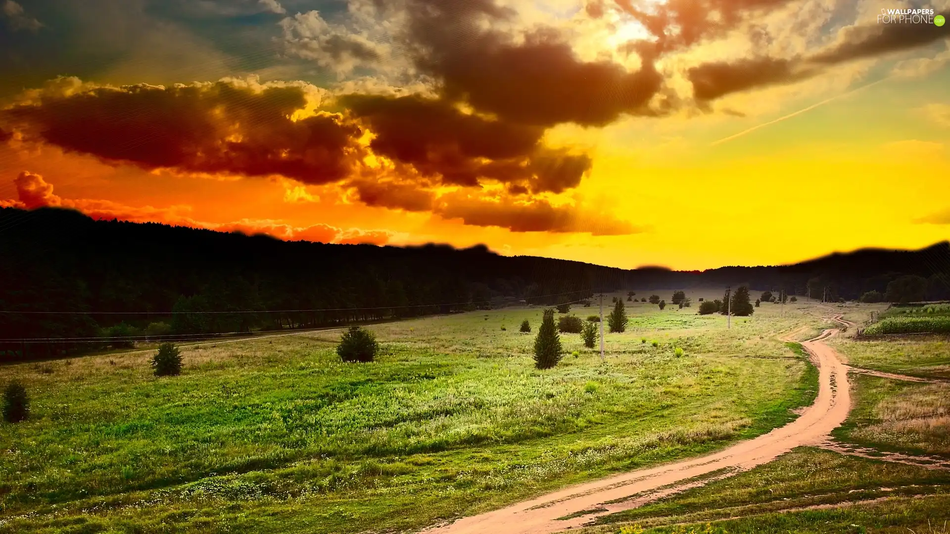 clouds, Field, Path, trees, grass, sun, west, viewes