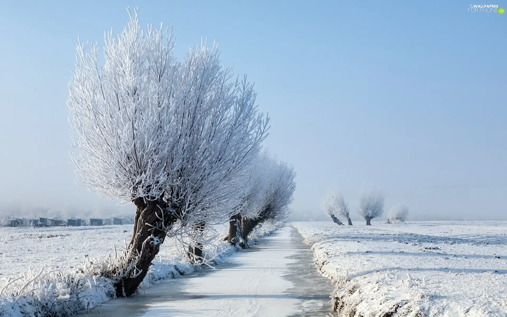 trees, Frozen, field, snow, viewes, River