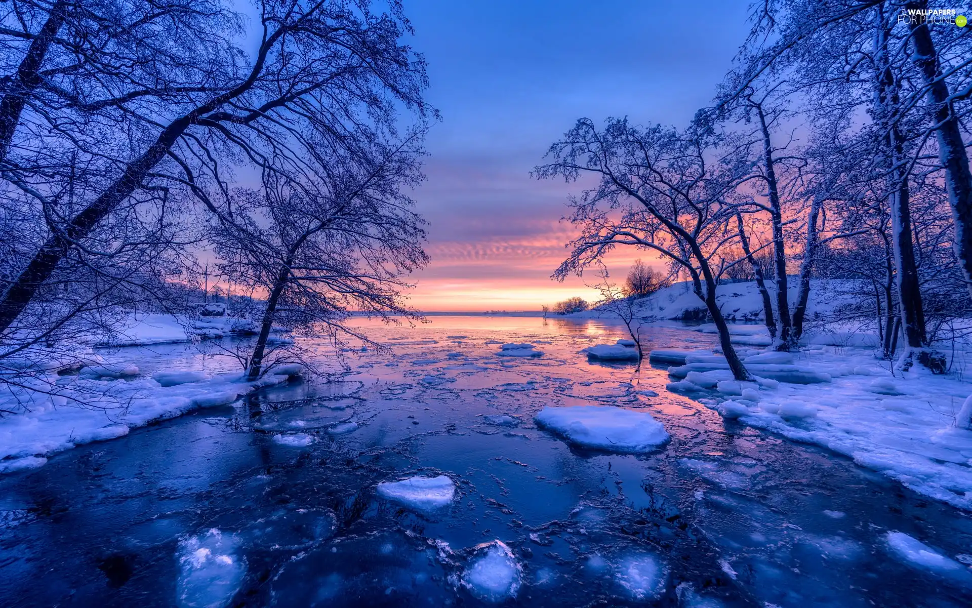 trees, winter, Sunrise, Finland, viewes, River