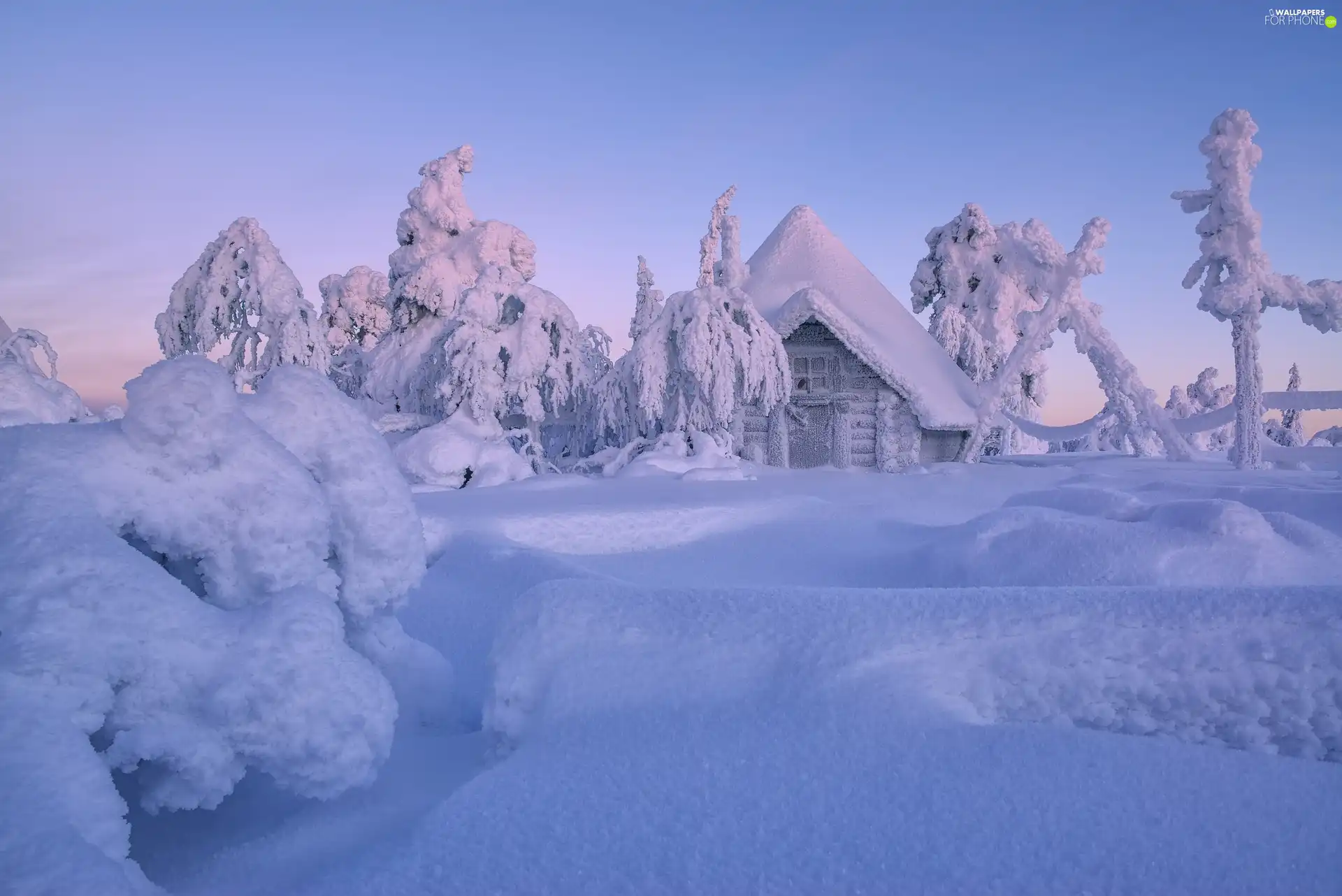 viewes, winter, Lapland, Finland, house, trees