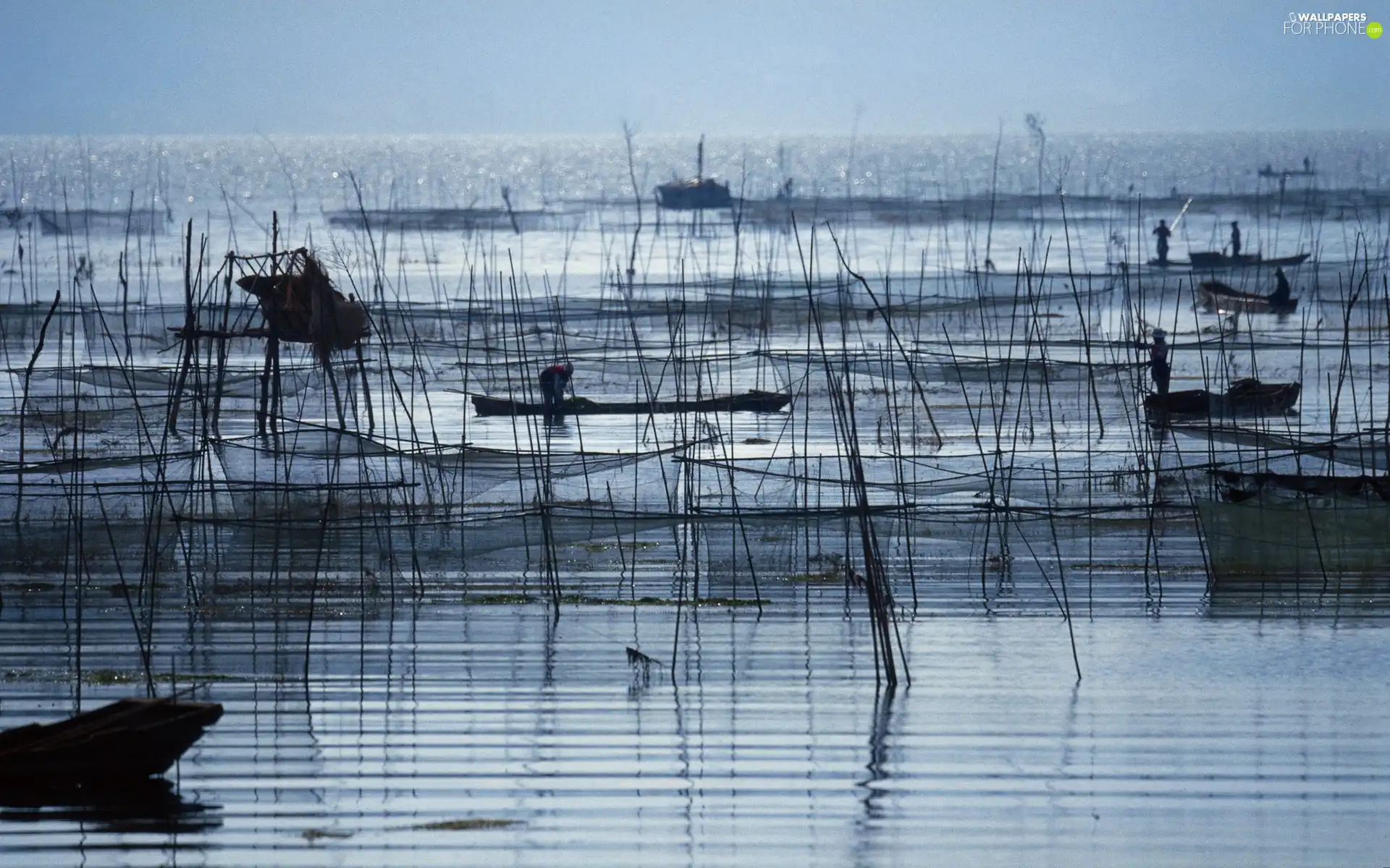 Fishermen, lake, Networks