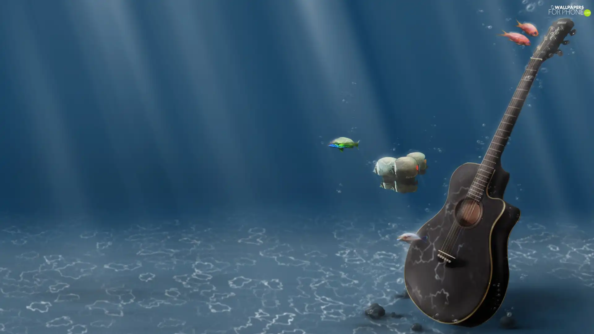Guitar, water, fishes, under