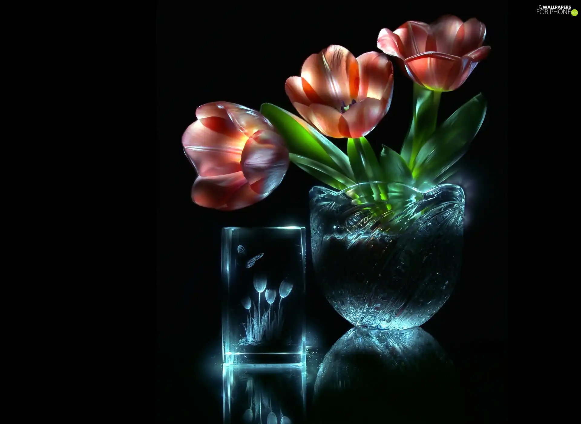 sun, flash, reflection, luminosity, glass, ligh, Tulips, Vase