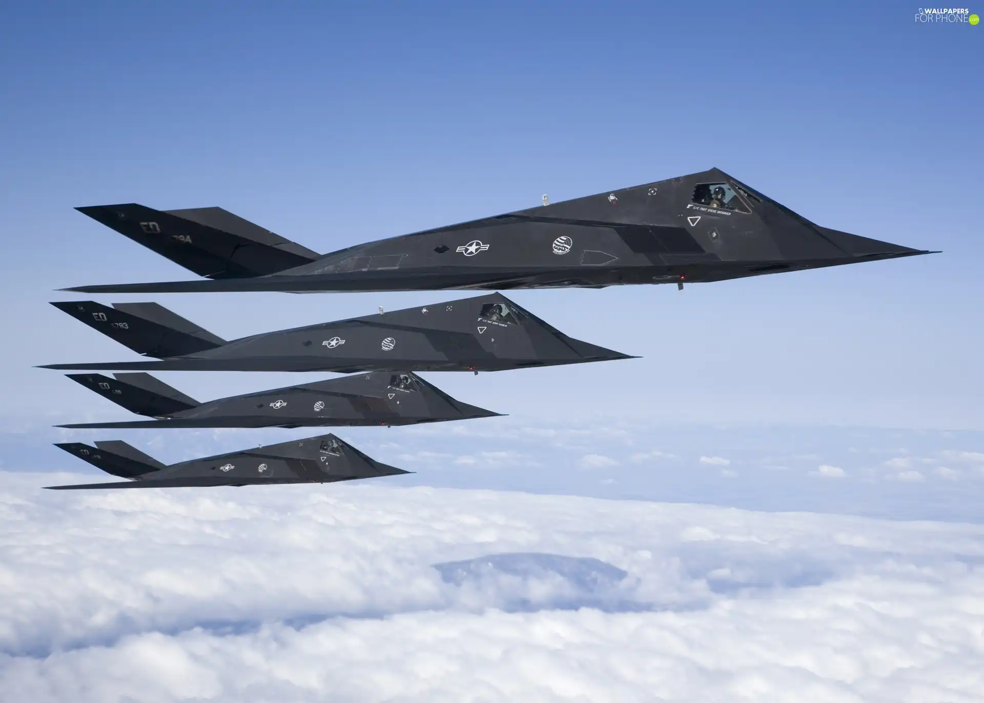 F 117 Nighthawk, fleet