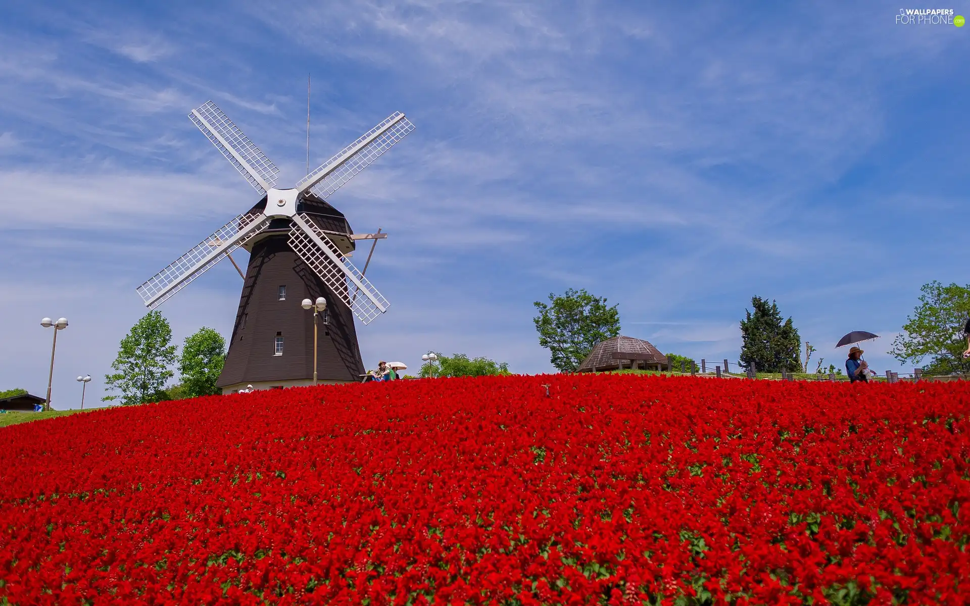 Floral, Windmill, Field