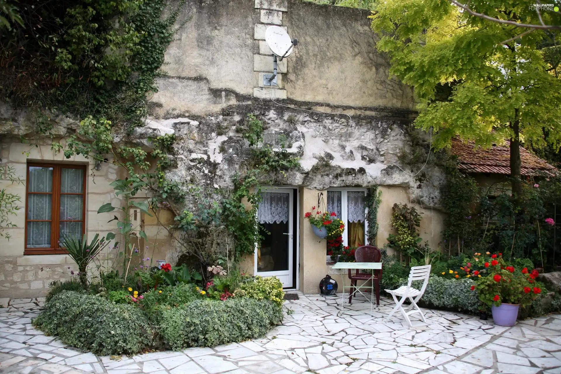 house, green, Flower-beds, Flowers