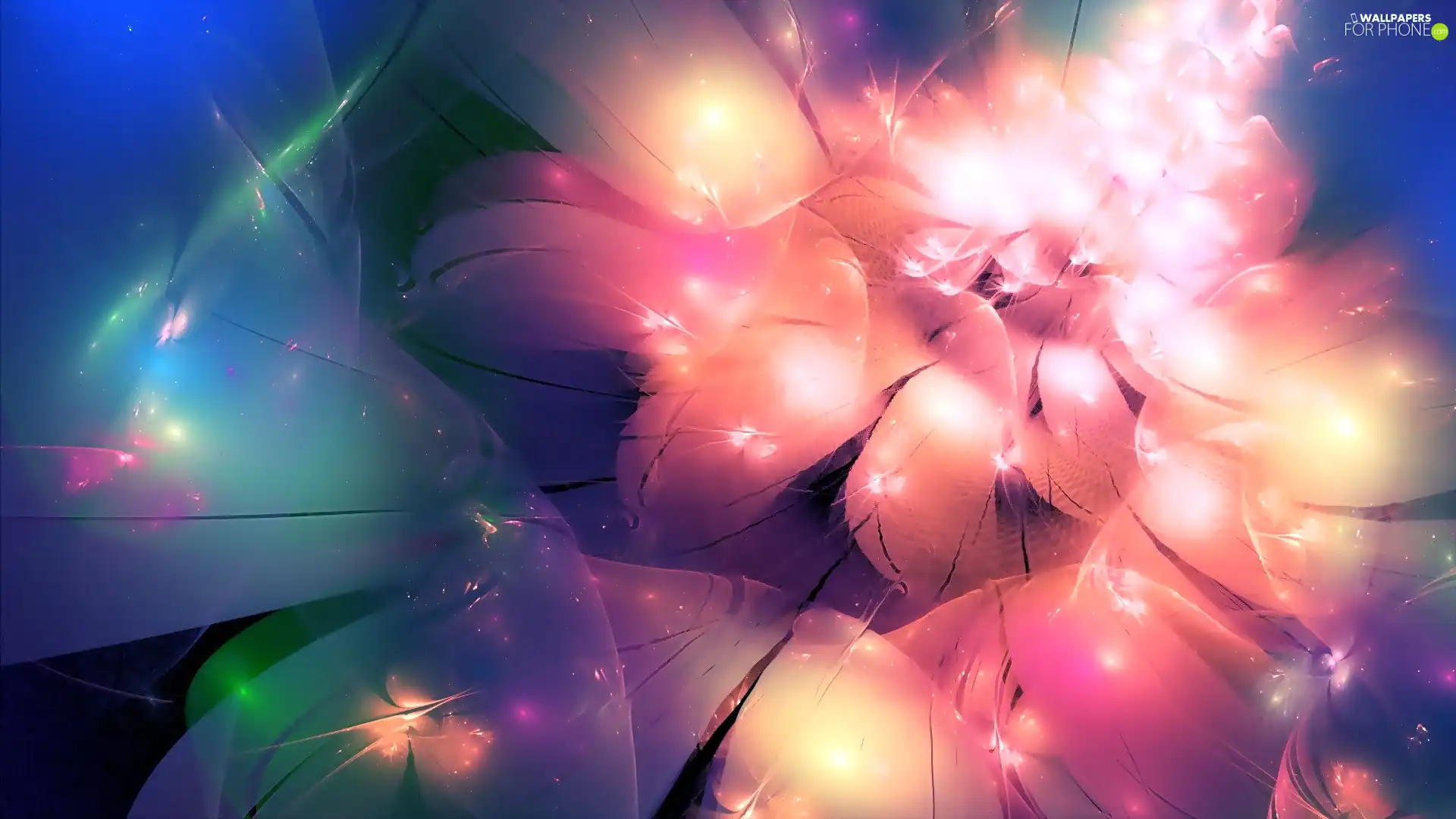 Flowers, graphics, abstraction